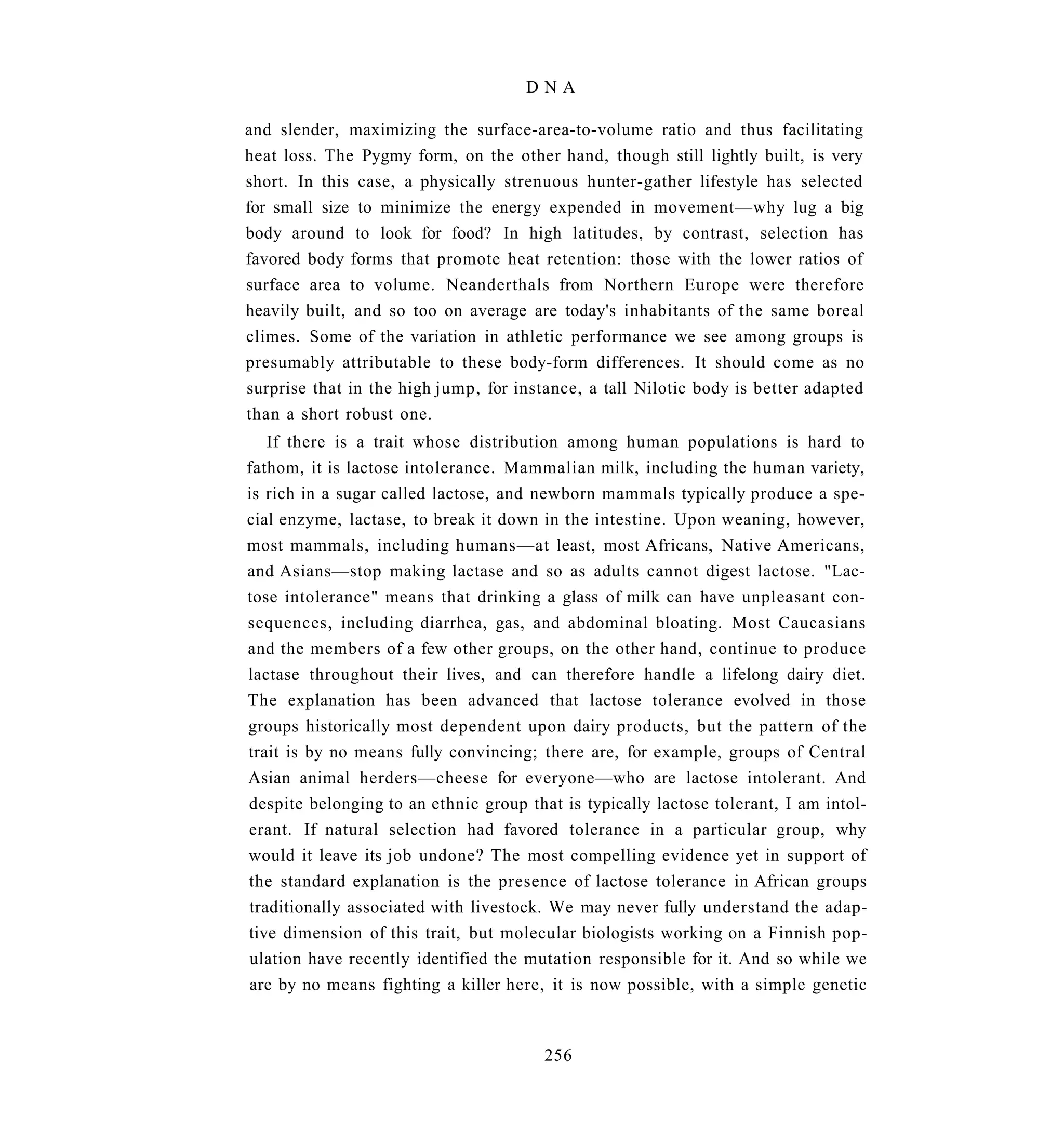 DNA

and slender, maximizing the surface-area-to-volume ratio and thus facilitating
heat loss. The Pygmy form, on the other hand, though still lightly built, is very
short. In this case, a physically strenuous hunter-gather lifestyle has selected
for small size to minimize the energy expended in movement—why lug a big
body around to look for food? In high latitudes, by contrast, selection has
favored body forms that promote heat retention: those with the lower ratios of
surface area to volume. Neanderthals from Northern Europe were therefore
heavily built, and so too on average are today's inhabitants of the same boreal
climes. Some of the variation in athletic performance we see among groups is
presumably attributable to these body-form differences. It should come as no
surprise that in the high jump, for instance, a tall Nilotic body is better adapted
than a short robust one.
   If there is a trait whose distribution among human populations is hard to
fathom, it is lactose intolerance. Mammalian milk, including the human variety,
is rich in a sugar called lactose, and newborn mammals typically produce a spe-
cial enzyme, lactase, to break it down in the intestine. Upon weaning, however,
most mammals, including humans—at least, most Africans, Native Americans,
and Asians—stop making lactase and so as adults cannot digest lactose. "Lac-
tose intolerance" means that drinking a glass of milk can have unpleasant con-
sequences, including diarrhea, gas, and abdominal bloating. Most Caucasians
and the members of a few other groups, on the other hand, continue to produce
lactase throughout their lives, and can therefore handle a lifelong dairy diet.
The explanation has been advanced that lactose tolerance evolved in those
groups historically most dependent upon dairy products, but the pattern of the
trait is by no means fully convincing; there are, for example, groups of Central
Asian animal herders—cheese for everyone—who are lactose intolerant. And
despite belonging to an ethnic group that is typically lactose tolerant, I am intol-
erant. If natural selection had favored tolerance in a particular group, why
would it leave its job undone? The most compelling evidence yet in support of
the standard explanation is the presence of lactose tolerance in African groups
traditionally associated with livestock. We may never fully understand the adap-
tive dimension of this trait, but molecular biologists working on a Finnish pop-
ulation have recently identified the mutation responsible for it. And so while we
are by no means fighting a killer here, it is now possible, with a simple genetic



                                        256
 