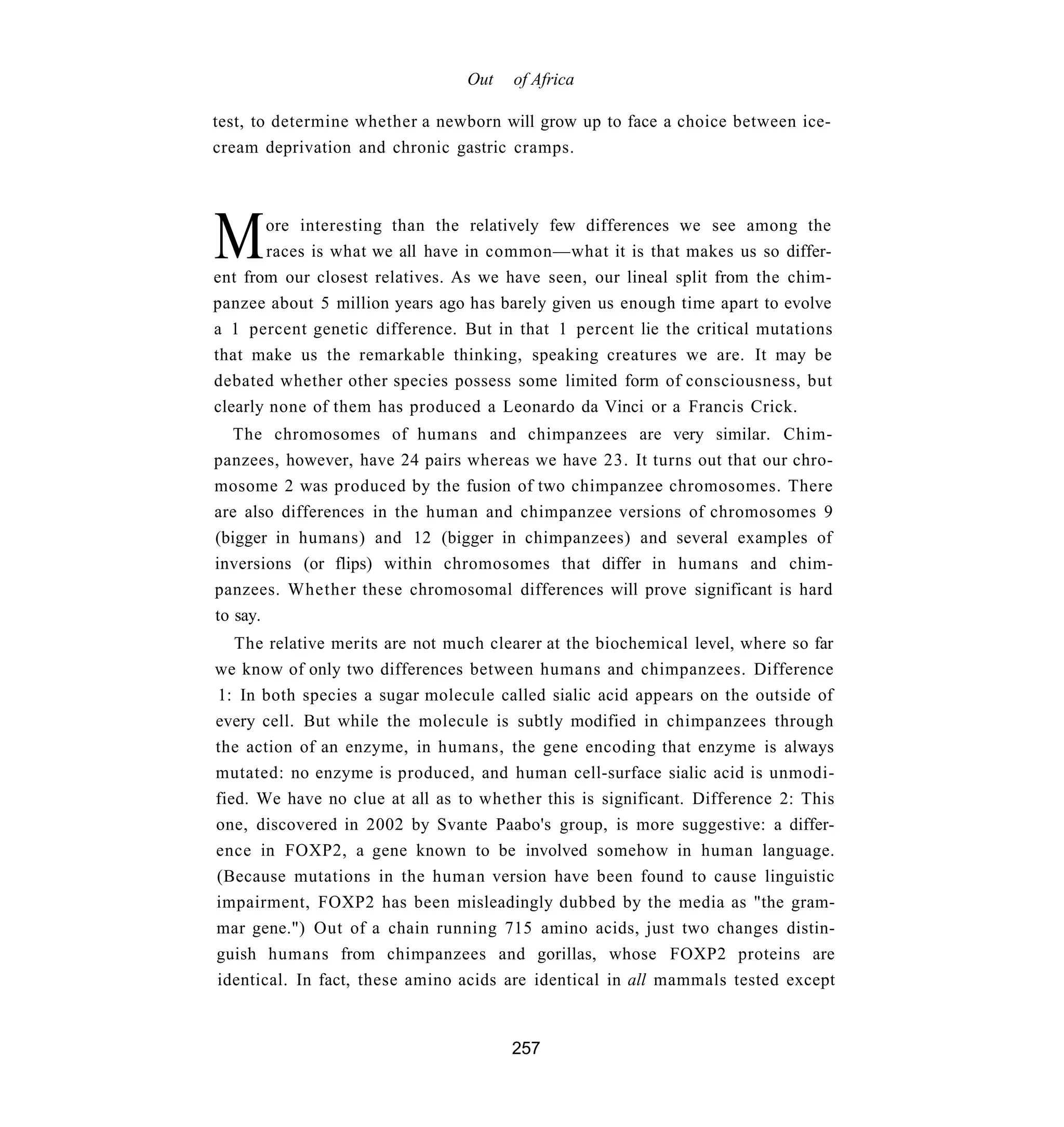 Out   of Africa

test, to determine whether a newborn will grow up to face a choice between ice-
cream deprivation and chronic gastric cramps.




M      ore interesting than the relatively few differences we see among the
       races is what we all have in common—what it is that makes us so differ-
ent from our closest relatives. As we have seen, our lineal split from the chim-
panzee about 5 million years ago has barely given us enough time apart to evolve
a 1 percent genetic difference. But in that 1 percent lie the critical mutations
that make us the remarkable thinking, speaking creatures we are. It may be
debated whether other species possess some limited form of consciousness, but
clearly none of them has produced a Leonardo da Vinci or a Francis Crick.
   The chromosomes of humans and chimpanzees are very similar. Chim-
panzees, however, have 24 pairs whereas we have 23. It turns out that our chro-
mosome 2 was produced by the fusion of two chimpanzee chromosomes. There
are also differences in the human and chimpanzee versions of chromosomes 9
(bigger in humans) and 12 (bigger in chimpanzees) and several examples of
inversions (or flips) within chromosomes that differ in humans and chim-
panzees. Whether these chromosomal differences will prove significant is hard
to say.
   The relative merits are not much clearer at the biochemical level, where so far
we know of only two differences between humans and chimpanzees. Difference
1: In both species a sugar molecule called sialic acid appears on the outside of
every cell. But while the molecule is subtly modified in chimpanzees through
the action of an enzyme, in humans, the gene encoding that enzyme is always
mutated: no enzyme is produced, and human cell-surface sialic acid is unmodi-
fied. We have no clue at all as to whether this is significant. Difference 2: This
one, discovered in 2002 by Svante Paabo's group, is more suggestive: a differ-
ence in FOXP2, a gene known to be involved somehow in human language.
(Because mutations in the human version have been found to cause linguistic
impairment, FOXP2 has been misleadingly dubbed by the media as "the gram-
mar gene.") Out of a chain running 715 amino acids, just two changes distin-
guish humans from chimpanzees and gorillas, whose FOXP2 proteins are
identical. In fact, these amino acids are identical in all mammals tested except


                                       257
 