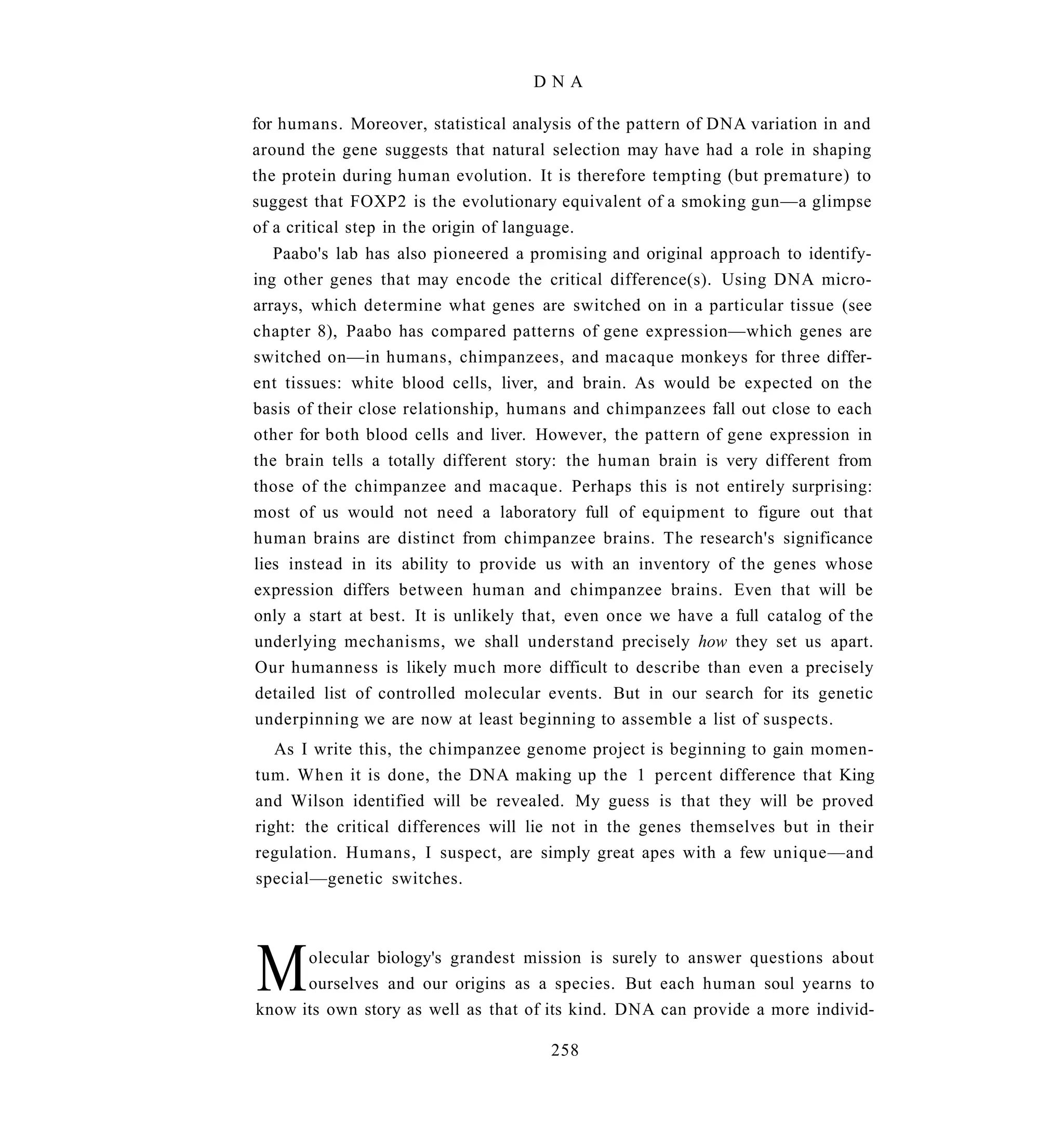 DNA

for humans. Moreover, statistical analysis of the pattern of DNA variation in and
around the gene suggests that natural selection may have had a role in shaping
the protein during human evolution. It is therefore tempting (but premature) to
suggest that FOXP2 is the evolutionary equivalent of a smoking gun—a glimpse
of a critical step in the origin of language.
   Paabo's lab has also pioneered a promising and original approach to identify-
ing other genes that may encode the critical difference(s). Using DNA micro-
arrays, which determine what genes are switched on in a particular tissue (see
chapter 8), Paabo has compared patterns of gene expression—which genes are
switched on—in humans, chimpanzees, and macaque monkeys for three differ-
ent tissues: white blood cells, liver, and brain. As would be expected on the
basis of their close relationship, humans and chimpanzees fall out close to each
other for both blood cells and liver. However, the pattern of gene expression in
the brain tells a totally different story: the human brain is very different from
those of the chimpanzee and macaque. Perhaps this is not entirely surprising:
most of us would not need a laboratory full of equipment to figure out that
human brains are distinct from chimpanzee brains. The research's significance
lies instead in its ability to provide us with an inventory of the genes whose
expression differs between human and chimpanzee brains. Even that will be
only a start at best. It is unlikely that, even once we have a full catalog of the
underlying mechanisms, we shall understand precisely how they set us apart.
Our humanness is likely much more difficult to describe than even a precisely
detailed list of controlled molecular events. But in our search for its genetic
underpinning we are now at least beginning to assemble a list of suspects.
   As I write this, the chimpanzee genome project is beginning to gain momen-
tum. When it is done, the DNA making up the 1 percent difference that King
and Wilson identified will be revealed. My guess is that they will be proved
right: the critical differences will lie not in the genes themselves but in their
regulation. Humans, I suspect, are simply great apes with a few unique—and
special—genetic switches.




M     olecular biology's grandest mission is surely to answer questions about
      ourselves and our origins as a species. But each human soul yearns to
know its own story as well as that of its kind. DNA can provide a more individ-

                                       258
 
