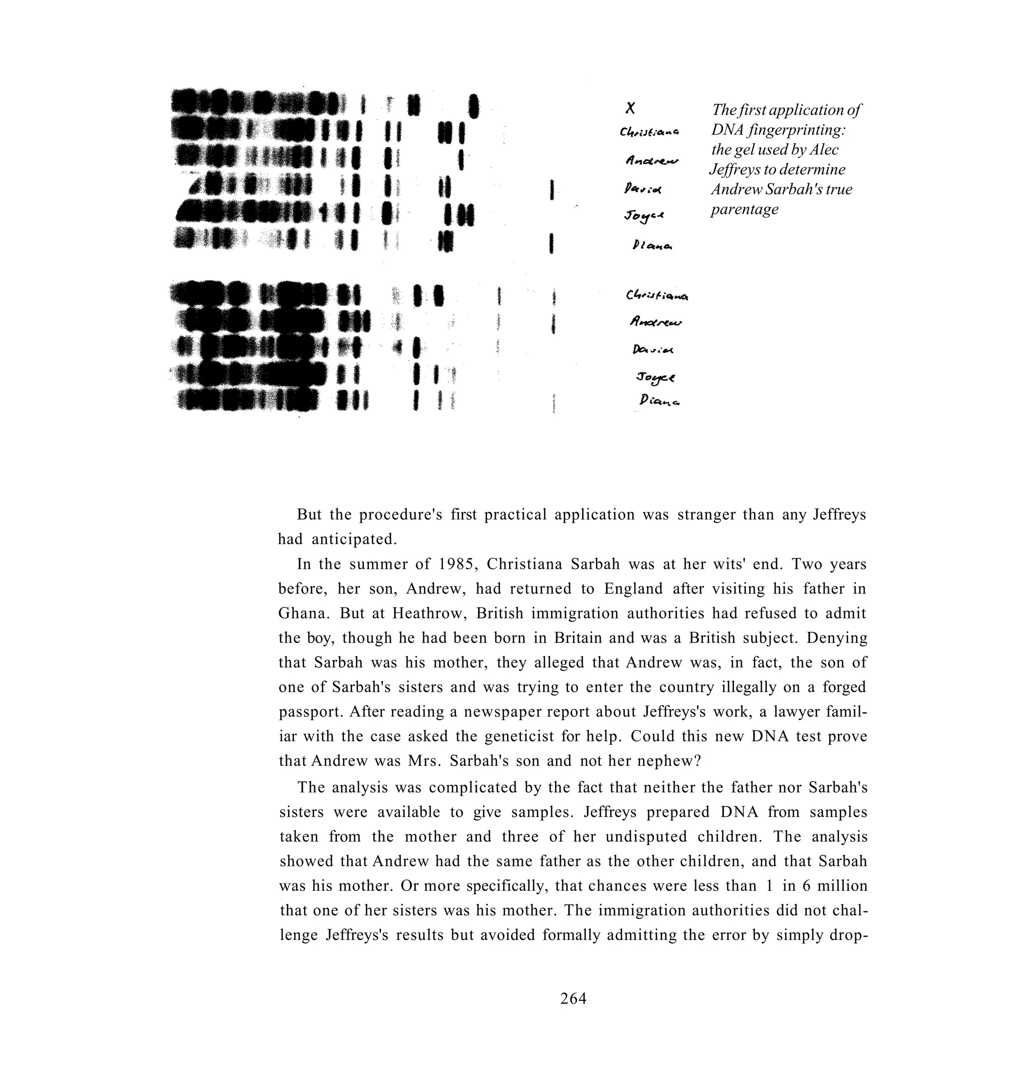 The first application of
                                                           DNA fingerprinting:
                                                           the gel used by Alec
                                                           Jeffreys to determine
                                                           Andrew Sarbah's true
                                                           parentage




  But the procedure's first practical application was stranger than any Jeffreys
had anticipated.
   In the summer of 1985, Christiana Sarbah was at her wits' end. Two years
before, her son, Andrew, had returned to England after visiting his father in
Ghana. But at Heathrow, British immigration authorities had refused to admit
the boy, though he had been born in Britain and was a British subject. Denying
that Sarbah was his mother, they alleged that Andrew was, in fact, the son of
one of Sarbah's sisters and was trying to enter the country illegally on a forged
passport. After reading a newspaper report about Jeffreys's work, a lawyer famil-
iar with the case asked the geneticist for help. Could this new DNA test prove
that Andrew was Mrs. Sarbah's son and not her nephew?
   The analysis was complicated by the fact that neither the father nor Sarbah's
sisters were available to give samples. Jeffreys prepared DNA from samples
taken from the mother and three of her undisputed children. The analysis
showed that Andrew had the same father as the other children, and that Sarbah
was his mother. Or more specifically, that chances were less than 1 in 6 million
that one of her sisters was his mother. The immigration authorities did not chal-
lenge Jeffreys's results but avoided formally admitting the error by simply drop-


                                      264
 