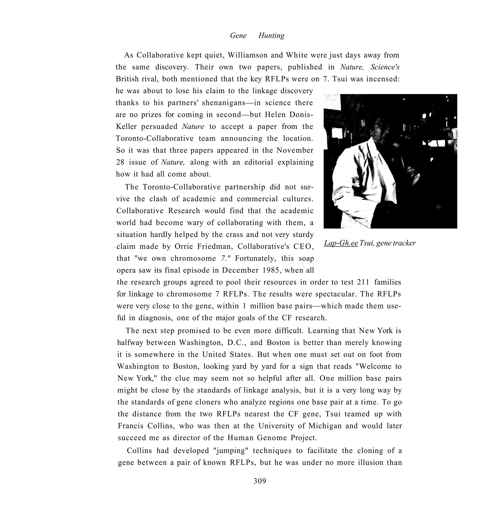 Gene    Hunting

  As Collaborative kept quiet, Williamson and White were just days away from
the same discovery. Their own two papers, published in Nature, Science's
British rival, both mentioned that the key RFLPs were on 7. Tsui was incensed:
he was about to lose his claim to the linkage discovery
thanks to his partners' shenanigans—in science there
are no prizes for coming in second—but Helen Donis-
Keller persuaded Nature to accept a paper from the
Toronto-Collaborative team announcing the location.
So it was that three papers appeared in the November
28 issue of Nature, along with an editorial explaining
how it had all come about.
   The Toronto-Collaborative partnership did not sur-
vive the clash of academic and commercial cultures.
Collaborative Research would find that the academic
world had become wary of collaborating with them, a
situation hardly helped by the crass and not very sturdy
claim made by Orrie Friedman, Collaborative's C E O , Lap-Gh.ee Tsui, gene tracker
that "we own chromosome 7." Fortunately, this soap
opera saw its final episode in December 1985, when all
the research groups agreed to pool their resources in order to test 211 families
for linkage to chromosome 7 RFLPs. The results were spectacular. The RFLPs
were very close to the gene, within 1 million base pairs—which made them use-
ful in diagnosis, one of the major goals of the CF research.
   The next step promised to be even more difficult. Learning that New York is
halfway between Washington, D.C., and Boston is better than merely knowing
it is somewhere in the United States. But when one must set out on foot from
Washington to Boston, looking yard by yard for a sign that reads "Welcome to
New York," the clue may seem not so helpful after all. One million base pairs
might be close by the standards of linkage analysis, but it is a very long way by
the standards of gene cloners who analyze regions one base pair at a time. To go
the distance from the two RFLPs nearest the CF gene, Tsui teamed up with
Francis Collins, who was then at the University of Michigan and would later
succeed me as director of the Human Genome Project.
  Collins had developed "jumping" techniques to facilitate the cloning of a
gene between a pair of known RFLPs, but he was under no more illusion than

                                       309
 