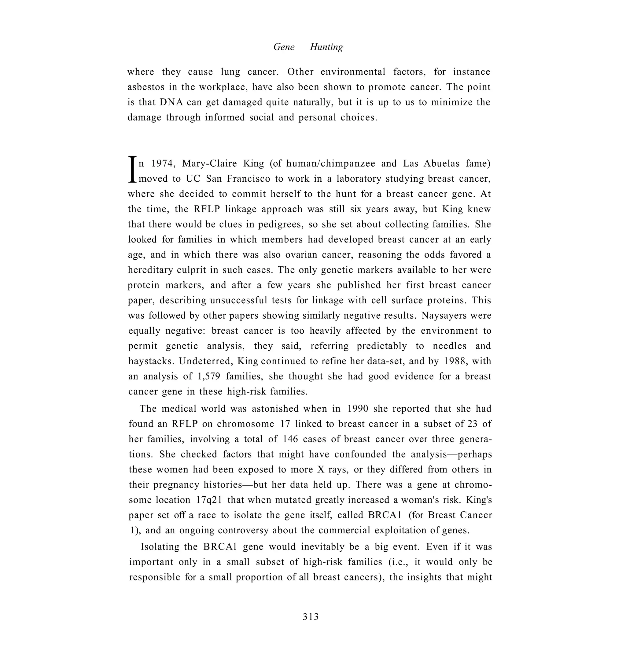 Gene    Hunting

where they cause lung cancer. Other environmental factors, for instance
asbestos in the workplace, have also been shown to promote cancer. The point
is that DNA can get damaged quite naturally, but it is up to us to minimize the
damage through informed social and personal choices.




I n 1974, Mary-Claire King (of human/chimpanzee and Las Abuelas fame)
  moved to UC San Francisco to work in a laboratory studying breast cancer,
where she decided to commit herself to the hunt for a breast cancer gene. At
the time, the RFLP linkage approach was still six years away, but King knew
that there would be clues in pedigrees, so she set about collecting families. She
looked for families in which members had developed breast cancer at an early
age, and in which there was also ovarian cancer, reasoning the odds favored a
hereditary culprit in such cases. The only genetic markers available to her were
protein markers, and after a few years she published her first breast cancer
paper, describing unsuccessful tests for linkage with cell surface proteins. This
was followed by other papers showing similarly negative results. Naysayers were
equally negative: breast cancer is too heavily affected by the environment to
permit genetic analysis, they said, referring predictably to needles and
haystacks. Undeterred, King continued to refine her data-set, and by 1988, with
an analysis of 1,579 families, she thought she had good evidence for a breast
cancer gene in these high-risk families.
   The medical world was astonished when in 1990 she reported that she had
found an RFLP on chromosome 17 linked to breast cancer in a subset of 23 of
her families, involving a total of 146 cases of breast cancer over three genera-
tions. She checked factors that might have confounded the analysis—perhaps
these women had been exposed to more X rays, or they differed from others in
their pregnancy histories—but her data held up. There was a gene at chromo-
some location 17q21 that when mutated greatly increased a woman's risk. King's
paper set off a race to isolate the gene itself, called BRCA1 (for Breast Cancer
1), and an ongoing controversy about the commercial exploitation of genes.
   Isolating the BRCAl gene would inevitably be a big event. Even if it was
important only in a small subset of high-risk families (i.e., it would only be
responsible for a small proportion of all breast cancers), the insights that might


                                       313
 