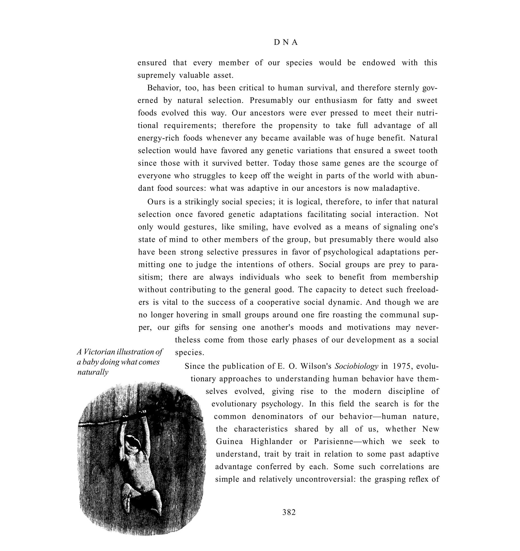 DNA

                 ensured that every member of our species would be endowed with this
                 supremely valuable asset.
                    Behavior, too, has been critical to human survival, and therefore sternly gov-
                 erned by natural selection. Presumably our enthusiasm for fatty and sweet
                 foods evolved this way. Our ancestors were ever pressed to meet their nutri-
                 tional requirements; therefore the propensity to take full advantage of all
                 energy-rich foods whenever any became available was of huge benefit. Natural
                 selection would have favored any genetic variations that ensured a sweet tooth
                 since those with it survived better. Today those same genes are the scourge of
                 everyone who struggles to keep off the weight in parts of the world with abun-
                 dant food sources: what was adaptive in our ancestors is now maladaptive.
                      Ours is a strikingly social species; it is logical, therefore, to infer that natural
                   selection once favored genetic adaptations facilitating social interaction. Not
                   only would gestures, like smiling, have evolved as a means of signaling one's
                   state of mind to other members of the group, but presumably there would also
                   have been strong selective pressures in favor of psychological adaptations per-
                   mitting one to judge the intentions of others. Social groups are prey to para-
                   sitism; there are always individuals who seek to benefit from membership
                   without contributing to the general good. The capacity to detect such freeload-
                   ers is vital to the success of a cooperative social dynamic. And though we are
                   no longer hovering in small groups around one fire roasting the communal sup-
                   per, our gifts for sensing one another's moods and motivations may never-
                              theless come from those early phases of our development as a social
A Victorian illustration of   species.
a baby doing what comes
                                 Since the publication of E. O. Wilson's Sociobiology in 1975, evolu-
naturally
                                   tionary approaches to understanding human behavior have them-
                                       selves evolved, giving rise to the modern discipline of
                                         evolutionary psychology. In this field the search is for the
                                          common denominators of our behavior—human nature,
                                          the characteristics shared by all of us, whether New
                                          Guinea Highlander or Parisienne—which we seek to
                                          understand, trait by trait in relation to some past adaptive
                                          advantage conferred by each. Some such correlations are
                                          simple and relatively uncontroversial: the grasping reflex of


                                                            382
 
