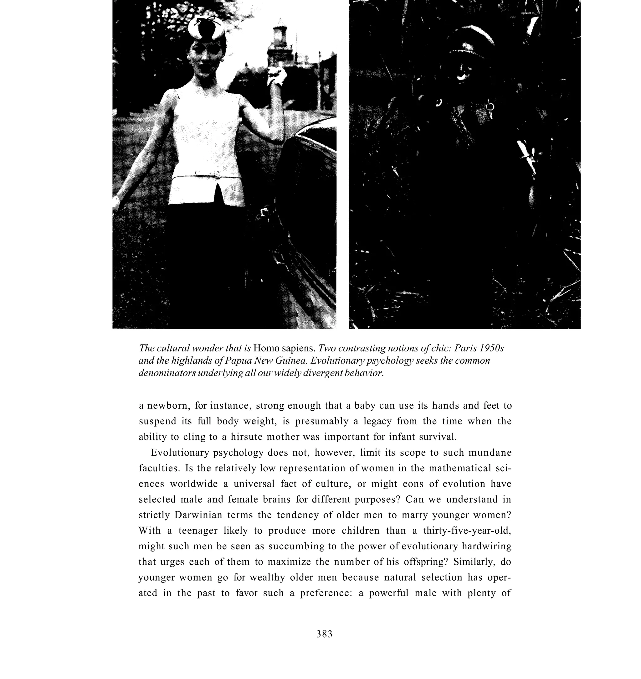 The cultural wonder that is Homo sapiens. Two contrasting notions of chic: Paris 1950s
and the highlands of Papua New Guinea. Evolutionary psychology seeks the common
denominators underlying all our widely divergent behavior.


a newborn, for instance, strong enough that a baby can use its hands and feet to
suspend its full body weight, is presumably a legacy from the time when the
ability to cling to a hirsute mother was important for infant survival.
   Evolutionary psychology does not, however, limit its scope to such mundane
faculties. Is the relatively low representation of women in the mathematical sci-
ences worldwide a universal fact of culture, or might eons of evolution have
selected male and female brains for different purposes? Can we understand in
strictly Darwinian terms the tendency of older men to marry younger women?
With a teenager likely to produce more children than a thirty-five-year-old,
might such men be seen as succumbing to the power of evolutionary hardwiring
that urges each of them to maximize the number of his offspring? Similarly, do
younger women go for wealthy older men because natural selection has oper-
ated in the past to favor such a preference: a powerful male with plenty of


                                         383
 