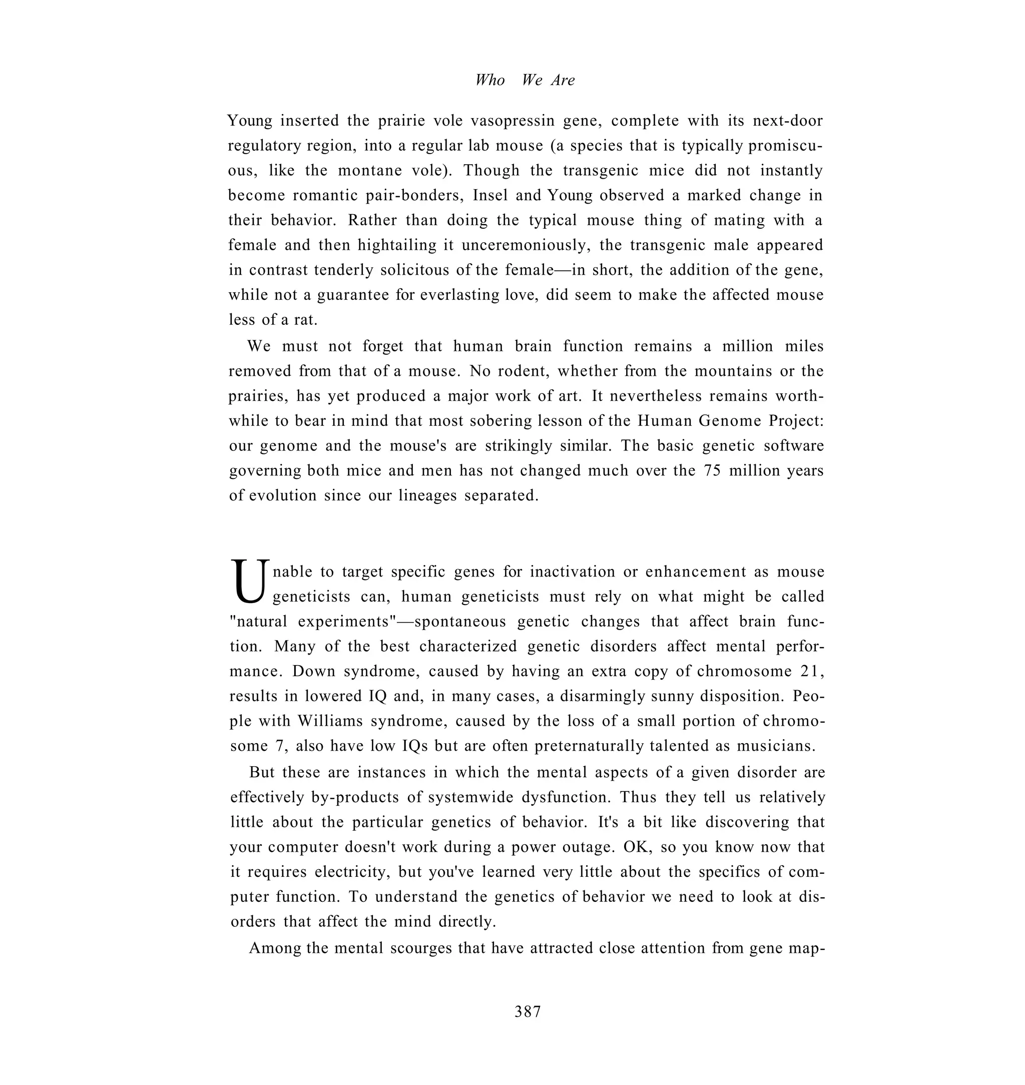 Who We Are

Young inserted the prairie vole vasopressin gene, complete with its next-door
regulatory region, into a regular lab mouse (a species that is typically promiscu-
ous, like the montane vole). Though the transgenic mice did not instantly
become romantic pair-bonders, Insel and Young observed a marked change in
their behavior. Rather than doing the typical mouse thing of mating with a
female and then hightailing it unceremoniously, the transgenic male appeared
in contrast tenderly solicitous of the female—in short, the addition of the gene,
while not a guarantee for everlasting love, did seem to make the affected mouse
less of a rat.
   We must not forget that human brain function remains a million miles
removed from that of a mouse. No rodent, whether from the mountains or the
prairies, has yet produced a major work of art. It nevertheless remains worth-
while to bear in mind that most sobering lesson of the Human Genome Project:
our genome and the mouse's are strikingly similar. The basic genetic software
governing both mice and men has not changed much over the 75 million years
of evolution since our lineages separated.




U     nable to target specific genes for inactivation or enhancement as mouse
      geneticists can, human geneticists must rely on what might be called
"natural experiments"—spontaneous genetic changes that affect brain func-
tion. Many of the best characterized genetic disorders affect mental perfor-
mance. Down syndrome, caused by having an extra copy of chromosome 21,
results in lowered IQ and, in many cases, a disarmingly sunny disposition. Peo-
ple with Williams syndrome, caused by the loss of a small portion of chromo-
some 7, also have low IQs but are often preternaturally talented as musicians.
    But these are instances in which the mental aspects of a given disorder are
effectively by-products of systemwide dysfunction. Thus they tell us relatively
little about the particular genetics of behavior. It's a bit like discovering that
your computer doesn't work during a power outage. OK, so you know now that
it requires electricity, but you've learned very little about the specifics of com-
puter function. To understand the genetics of behavior we need to look at dis-
orders that affect the mind directly.
   Among the mental scourges that have attracted close attention from gene map-


                                       387
 