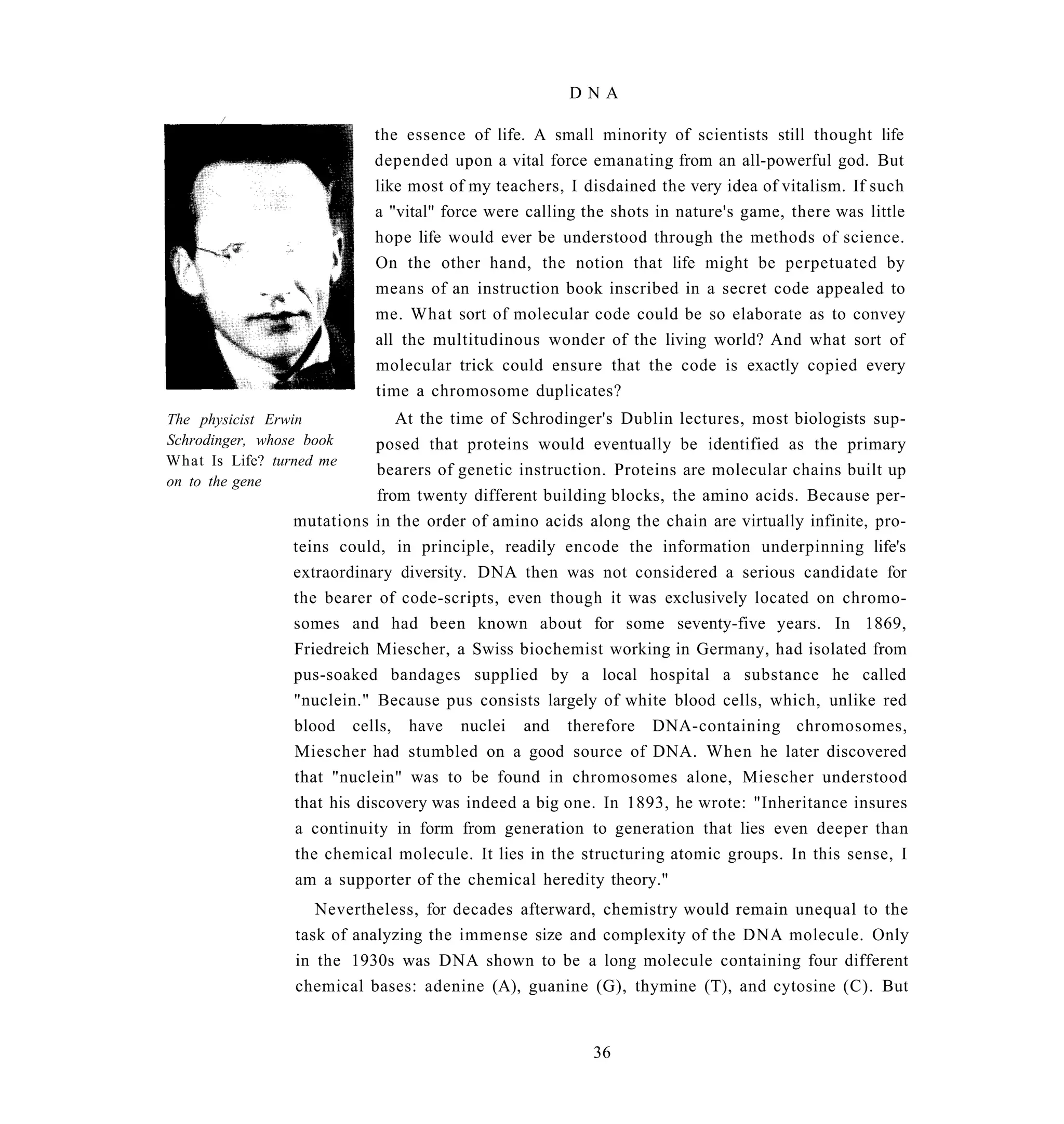 DNA

                           the essence of life. A small minority of scientists still thought life
                           depended upon a vital force emanating from an all-powerful god. But
                           like most of my teachers, I disdained the very idea of vitalism. If such
                           a "vital" force were calling the shots in nature's game, there was little
                           hope life would ever be understood through the methods of science.
                           On the other hand, the notion that life might be perpetuated by
                           means of an instruction book inscribed in a secret code appealed to
                           me. What sort of molecular code could be so elaborate as to convey
                           all the multitudinous wonder of the living world? And what sort of
                           molecular trick could ensure that the code is exactly copied every
                           time a chromosome duplicates?
The physicist Erwin             At the time of Schrodinger's Dublin lectures, most biologists sup-
Schrodinger, whose book      posed that proteins would eventually be identified as the primary
What Is Life? turned me
                             bearers of genetic instruction. Proteins are molecular chains built up
on to the gene
                             from twenty different building blocks, the amino acids. Because per-
                 mutations in the order of amino acids along the chain are virtually infinite, pro-
                 teins could, in principle, readily encode the information underpinning life's
                 extraordinary diversity. DNA then was not considered a serious candidate for
                 the bearer of code-scripts, even though it was exclusively located on chromo-
                 somes and had been known about for some seventy-five years. In 1869,
                 Friedreich Miescher, a Swiss biochemist working in Germany, had isolated from
                 pus-soaked bandages supplied by a local hospital a substance he called
                 "nuclein." Because pus consists largely of white blood cells, which, unlike red
                 blood cells, have nuclei and therefore DNA-containing chromosomes,
                 Miescher had stumbled on a good source of DNA. When he later discovered
                 that "nuclein" was to be found in chromosomes alone, Miescher understood
                 that his discovery was indeed a big one. In 1893, he wrote: "Inheritance insures
                 a continuity in form from generation to generation that lies even deeper than
                 the chemical molecule. It lies in the structuring atomic groups. In this sense, I
                 am a supporter of the chemical heredity theory."
                    Nevertheless, for decades afterward, chemistry would remain unequal to the
                 task of analyzing the immense size and complexity of the DNA molecule. Only
                 in the 1930s was DNA shown to be a long molecule containing four different
                 chemical bases: adenine (A), guanine (G), thymine (T), and cytosine (C). But


                                                         36
 