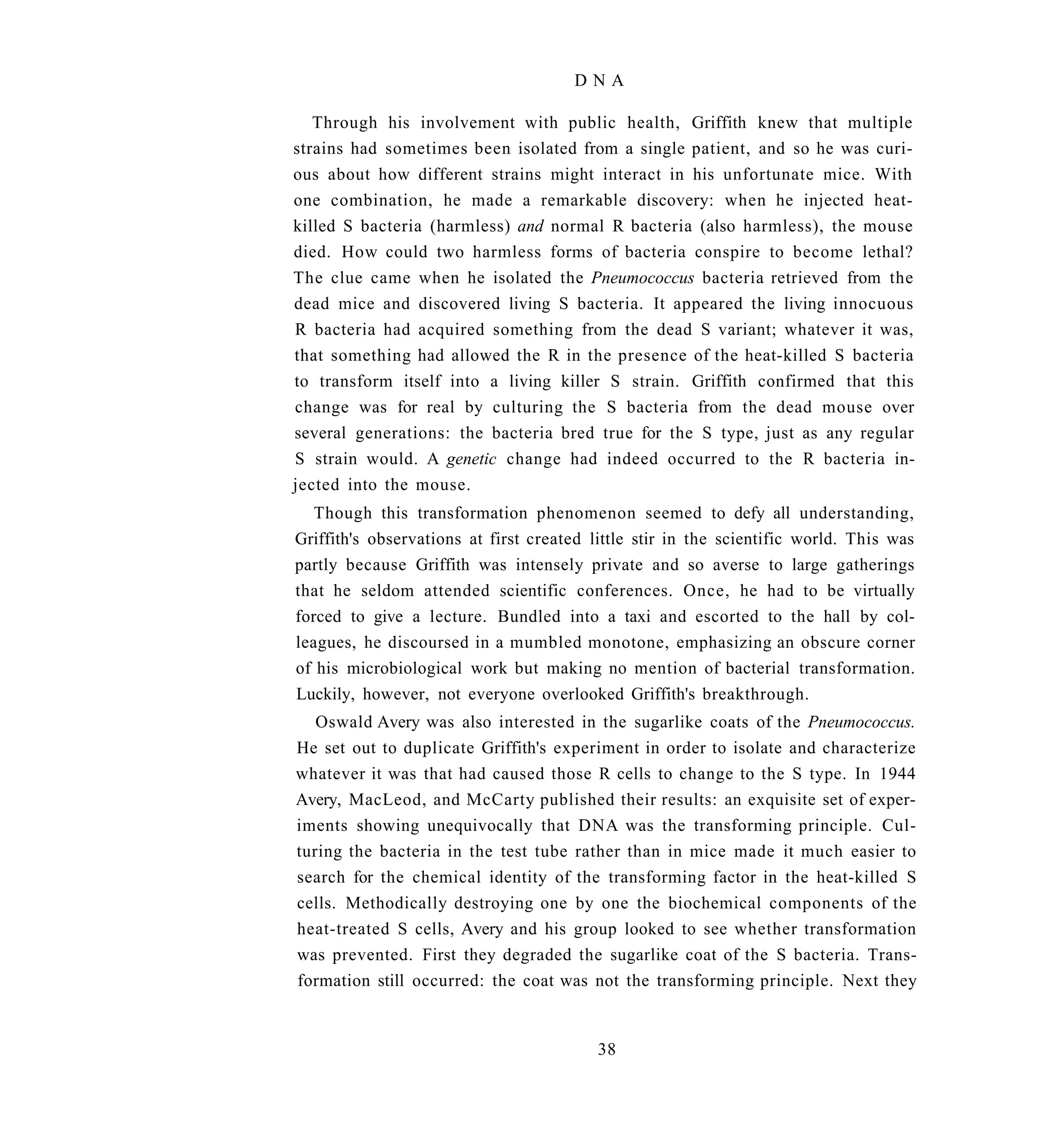DNA

   Through his involvement with public health, Griffith knew that multiple
strains had sometimes been isolated from a single patient, and so he was curi-
ous about how different strains might interact in his unfortunate mice. With
one combination, he made a remarkable discovery: when he injected heat-
killed S bacteria (harmless) and normal R bacteria (also harmless), the mouse
died. How could two harmless forms of bacteria conspire to become lethal?
The clue came when he isolated the Pneumococcus bacteria retrieved from the
dead mice and discovered living S bacteria. It appeared the living innocuous
R bacteria had acquired something from the dead S variant; whatever it was,
that something had allowed the R in the presence of the heat-killed S bacteria
to transform itself into a living killer S strain. Griffith confirmed that this
change was for real by culturing the S bacteria from the dead mouse over
several generations: the bacteria bred true for the S type, just as any regular
S strain would. A genetic change had indeed occurred to the R bacteria in-
jected into the mouse.
   Though this transformation phenomenon seemed to defy all understanding,
Griffith's observations at first created little stir in the scientific world. This was
partly because Griffith was intensely private and so averse to large gatherings
that he seldom attended scientific conferences. Once, he had to be virtually
forced to give a lecture. Bundled into a taxi and escorted to the hall by col-
leagues, he discoursed in a mumbled monotone, emphasizing an obscure corner
of his microbiological work but making no mention of bacterial transformation.
Luckily, however, not everyone overlooked Griffith's breakthrough.
   Oswald Avery was also interested in the sugarlike coats of the Pneumococcus.
He set out to duplicate Griffith's experiment in order to isolate and characterize
whatever it was that had caused those R cells to change to the S type. In 1944
Avery, MacLeod, and McCarty published their results: an exquisite set of exper-
iments showing unequivocally that DNA was the transforming principle. Cul-
turing the bacteria in the test tube rather than in mice made it much easier to
search for the chemical identity of the transforming factor in the heat-killed S
cells. Methodically destroying one by one the biochemical components of the
heat-treated S cells, Avery and his group looked to see whether transformation
was prevented. First they degraded the sugarlike coat of the S bacteria. Trans-
formation still occurred: the coat was not the transforming principle. Next they


                                          38
 