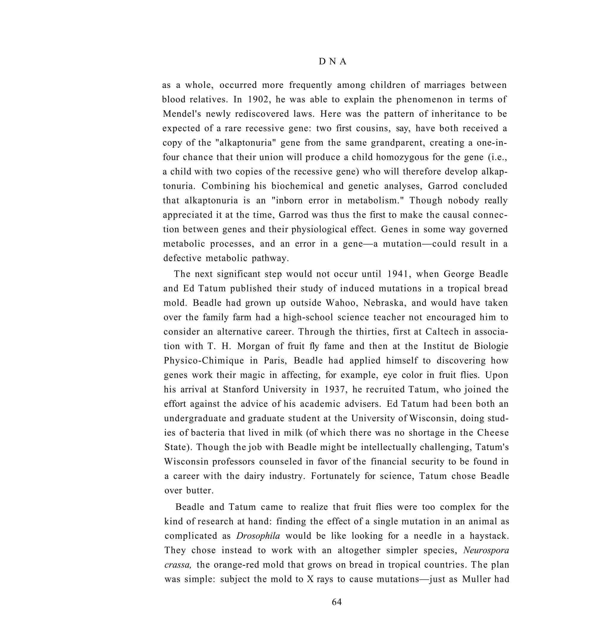 DNA

as a whole, occurred more frequently among children of marriages between
blood relatives. In 1902, he was able to explain the phenomenon in terms of
Mendel's newly rediscovered laws. Here was the pattern of inheritance to be
expected of a rare recessive gene: two first cousins, say, have both received a
copy of the "alkaptonuria" gene from the same grandparent, creating a one-in-
four chance that their union will produce a child homozygous for the gene (i.e.,
a child with two copies of the recessive gene) who will therefore develop alkap-
tonuria. Combining his biochemical and genetic analyses, Garrod concluded
that alkaptonuria is an "inborn error in metabolism." Though nobody really
appreciated it at the time, Garrod was thus the first to make the causal connec-
tion between genes and their physiological effect. Genes in some way governed
metabolic processes, and an error in a gene—a mutation—could result in a
defective metabolic pathway.
   The next significant step would not occur until 1941, when George Beadle
and Ed Tatum published their study of induced mutations in a tropical bread
mold. Beadle had grown up outside Wahoo, Nebraska, and would have taken
over the family farm had a high-school science teacher not encouraged him to
consider an alternative career. Through the thirties, first at Caltech in associa-
tion with T. H. Morgan of fruit fly fame and then at the Institut de Biologie
Physico-Chimique in Paris, Beadle had applied himself to discovering how
genes work their magic in affecting, for example, eye color in fruit flies. Upon
his arrival at Stanford University in 1937, he recruited Tatum, who joined the
effort against the advice of his academic advisers. Ed Tatum had been both an
undergraduate and graduate student at the University of Wisconsin, doing stud-
ies of bacteria that lived in milk (of which there was no shortage in the Cheese
State). Though the job with Beadle might be intellectually challenging, Tatum's
Wisconsin professors counseled in favor of the financial security to be found in
a career with the dairy industry. Fortunately for science, Tatum chose Beadle
over butter.
   Beadle and Tatum came to realize that fruit flies were too complex for the
kind of research at hand: finding the effect of a single mutation in an animal as
complicated as Drosophila would be like looking for a needle in a haystack.
They chose instead to work with an altogether simpler species, Neurospora
crassa, the orange-red mold that grows on bread in tropical countries. The plan
was simple: subject the mold to X rays to cause mutations—just as Muller had

                                       64
 