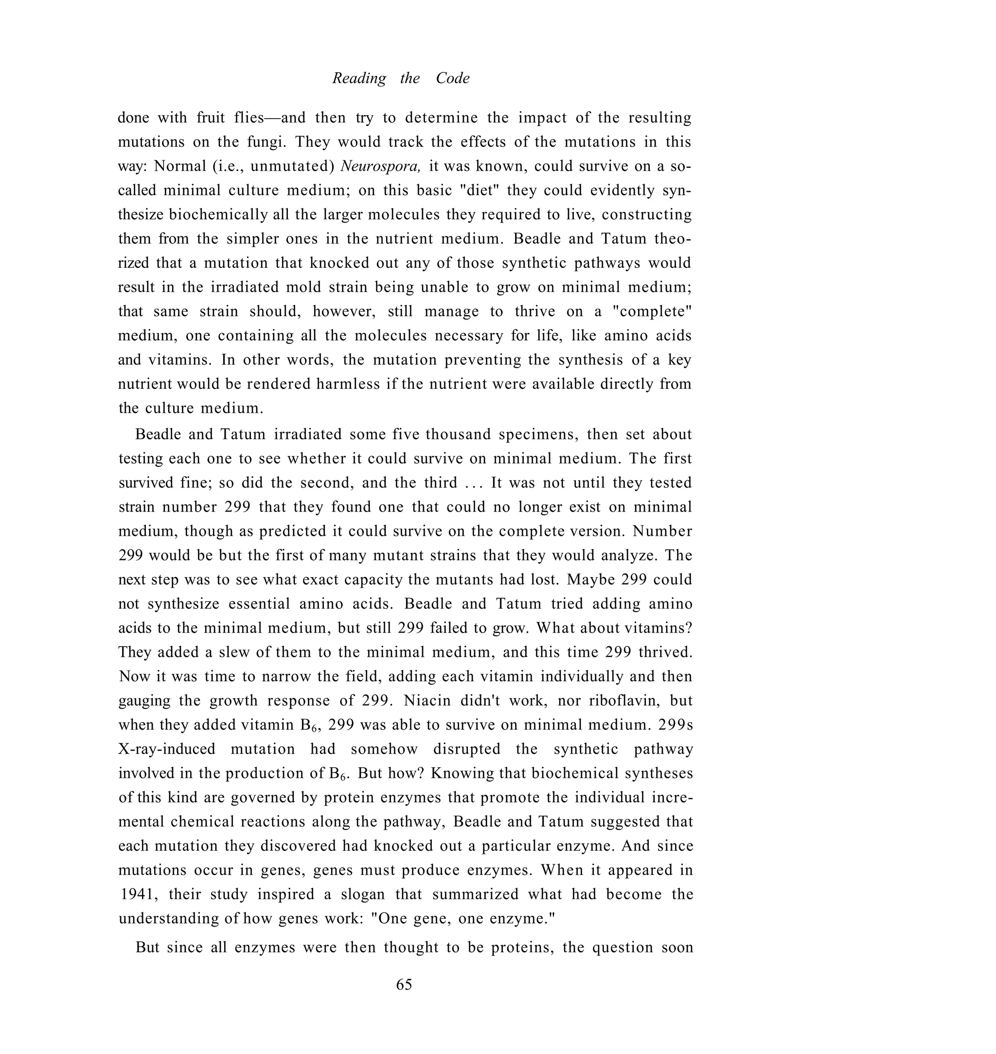 Reading the Code

done with fruit flies—and then try to determine the impact of the resulting
mutations on the fungi. They would track the effects of the mutations in this
way: Normal (i.e., unmutated) Neurospora, it was known, could survive on a so-
called minimal culture medium; on this basic "diet" they could evidently syn-
thesize biochemically all the larger molecules they required to live, constructing
them from the simpler ones in the nutrient medium. Beadle and Tatum theo-
rized that a mutation that knocked out any of those synthetic pathways would
result in the irradiated mold strain being unable to grow on minimal medium;
that same strain should, however, still manage to thrive on a "complete"
medium, one containing all the molecules necessary for life, like amino acids
and vitamins. In other words, the mutation preventing the synthesis of a key
nutrient would be rendered harmless if the nutrient were available directly from
the culture medium.
   Beadle and Tatum irradiated some five thousand specimens, then set about
testing each one to see whether it could survive on minimal medium. The first
survived fine; so did the second, and the third . . . It was not until they tested
strain number 299 that they found one that could no longer exist on minimal
medium, though as predicted it could survive on the complete version. Number
299 would be but the first of many mutant strains that they would analyze. The
next step was to see what exact capacity the mutants had lost. Maybe 299 could
not synthesize essential amino acids. Beadle and Tatum tried adding amino
acids to the minimal medium, but still 299 failed to grow. What about vitamins?
They added a slew of them to the minimal medium, and this time 299 thrived.
Now it was time to narrow the field, adding each vitamin individually and then
gauging the growth response of 299. Niacin didn't work, nor riboflavin, but
when they added vitamin B 6 , 299 was able to survive on minimal medium. 299s
X-ray-induced mutation had somehow disrupted the synthetic pathway
involved in the production of B 6 . But how? Knowing that biochemical syntheses
of this kind are governed by protein enzymes that promote the individual incre-
mental chemical reactions along the pathway, Beadle and Tatum suggested that
each mutation they discovered had knocked out a particular enzyme. And since
mutations occur in genes, genes must produce enzymes. When it appeared in
1941, their study inspired a slogan that summarized what had become the
understanding of how genes work: "One gene, one enzyme."
  But since all enzymes were then thought to be proteins, the question soon

                                       65
 