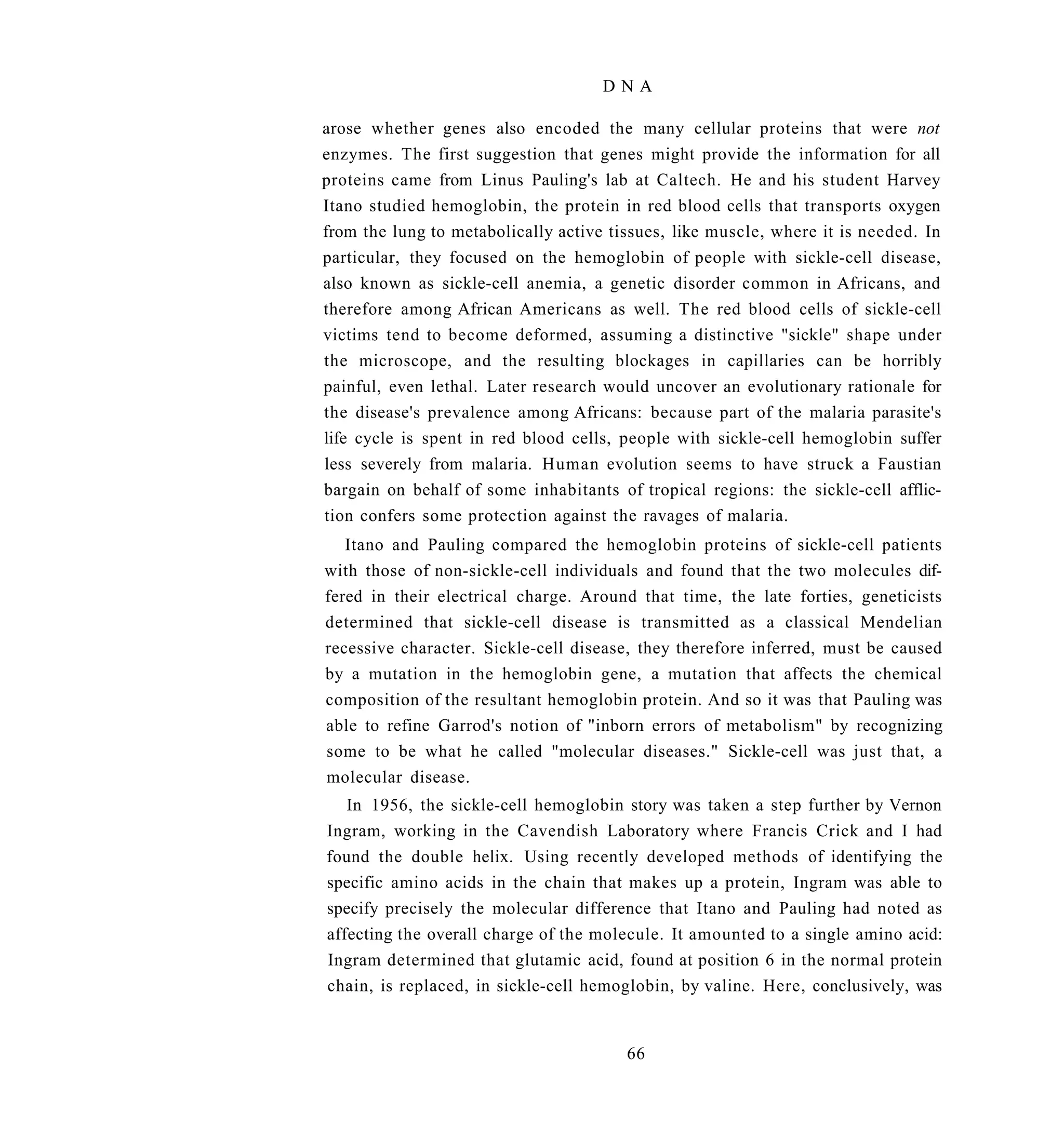 DNA

arose whether genes also encoded the many cellular proteins that were not
enzymes. The first suggestion that genes might provide the information for all
proteins came from Linus Pauling's lab at Caltech. He and his student Harvey
Itano studied hemoglobin, the protein in red blood cells that transports oxygen
from the lung to metabolically active tissues, like muscle, where it is needed. In
particular, they focused on the hemoglobin of people with sickle-cell disease,
also known as sickle-cell anemia, a genetic disorder common in Africans, and
therefore among African Americans as well. The red blood cells of sickle-cell
victims tend to become deformed, assuming a distinctive "sickle" shape under
the microscope, and the resulting blockages in capillaries can be horribly
painful, even lethal. Later research would uncover an evolutionary rationale for
the disease's prevalence among Africans: because part of the malaria parasite's
life cycle is spent in red blood cells, people with sickle-cell hemoglobin suffer
less severely from malaria. Human evolution seems to have struck a Faustian
bargain on behalf of some inhabitants of tropical regions: the sickle-cell afflic-
tion confers some protection against the ravages of malaria.
   Itano and Pauling compared the hemoglobin proteins of sickle-cell patients
with those of non-sickle-cell individuals and found that the two molecules dif-
fered in their electrical charge. Around that time, the late forties, geneticists
determined that sickle-cell disease is transmitted as a classical Mendelian
recessive character. Sickle-cell disease, they therefore inferred, must be caused
by a mutation in the hemoglobin gene, a mutation that affects the chemical
composition of the resultant hemoglobin protein. And so it was that Pauling was
able to refine Garrod's notion of "inborn errors of metabolism" by recognizing
some to be what he called "molecular diseases." Sickle-cell was just that, a
molecular disease.
   In 1956, the sickle-cell hemoglobin story was taken a step further by Vernon
Ingram, working in the Cavendish Laboratory where Francis Crick and I had
found the double helix. Using recently developed methods of identifying the
specific amino acids in the chain that makes up a protein, Ingram was able to
specify precisely the molecular difference that Itano and Pauling had noted as
affecting the overall charge of the molecule. It amounted to a single amino acid:
Ingram determined that glutamic acid, found at position 6 in the normal protein
chain, is replaced, in sickle-cell hemoglobin, by valine. Here, conclusively, was


                                        66
 