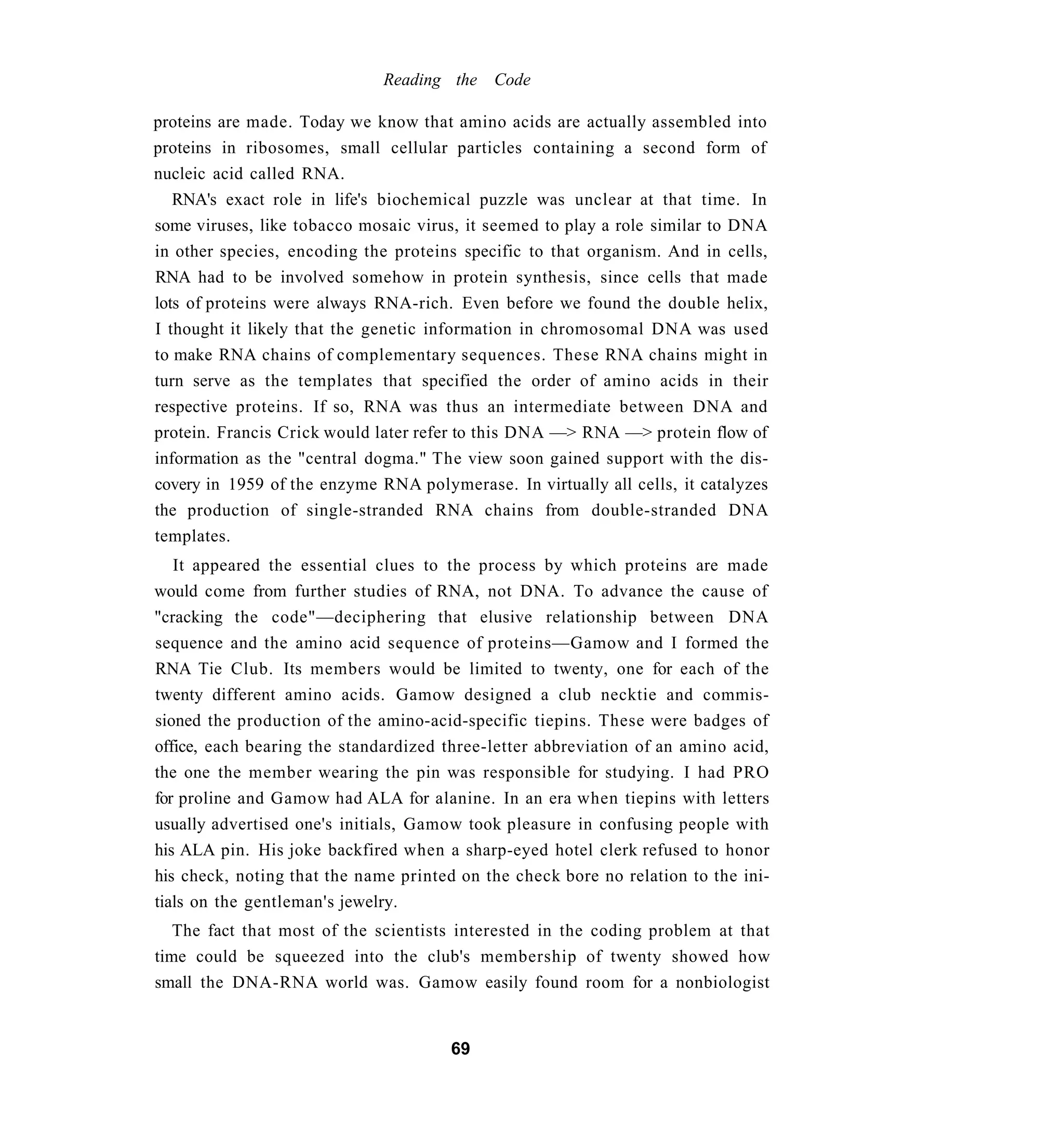 Reading the Code

proteins are made. Today we know that amino acids are actually assembled into
proteins in ribosomes, small cellular particles containing a second form of
nucleic acid called RNA.
   RNA's exact role in life's biochemical puzzle was unclear at that time. In
some viruses, like tobacco mosaic virus, it seemed to play a role similar to DNA
in other species, encoding the proteins specific to that organism. And in cells,
RNA had to be involved somehow in protein synthesis, since cells that made
lots of proteins were always RNA-rich. Even before we found the double helix,
I thought it likely that the genetic information in chromosomal DNA was used
to make RNA chains of complementary sequences. These RNA chains might in
turn serve as the templates that specified the order of amino acids in their
respective proteins. If so, RNA was thus an intermediate between DNA and
protein. Francis Crick would later refer to this DNA —> RNA —> protein flow of
information as the "central dogma." The view soon gained support with the dis-
covery in 1959 of the enzyme RNA polymerase. In virtually all cells, it catalyzes
the production of single-stranded RNA chains from double-stranded DNA
templates.
   It appeared the essential clues to the process by which proteins are made
would come from further studies of RNA, not DNA. To advance the cause of
"cracking the code"—deciphering that elusive relationship between DNA
sequence and the amino acid sequence of proteins—Gamow and I formed the
RNA Tie Club. Its members would be limited to twenty, one for each of the
twenty different amino acids. Gamow designed a club necktie and commis-
sioned the production of the amino-acid-specific tiepins. These were badges of
office, each bearing the standardized three-letter abbreviation of an amino acid,
the one the member wearing the pin was responsible for studying. I had PRO
for proline and Gamow had ALA for alanine. In an era when tiepins with letters
usually advertised one's initials, Gamow took pleasure in confusing people with
his ALA pin. His joke backfired when a sharp-eyed hotel clerk refused to honor
his check, noting that the name printed on the check bore no relation to the ini-
tials on the gentleman's jewelry.
   The fact that most of the scientists interested in the coding problem at that
time could be squeezed into the club's membership of twenty showed how
small the DNA-RNA world was. Gamow easily found room for a nonbiologist


                                       69
 