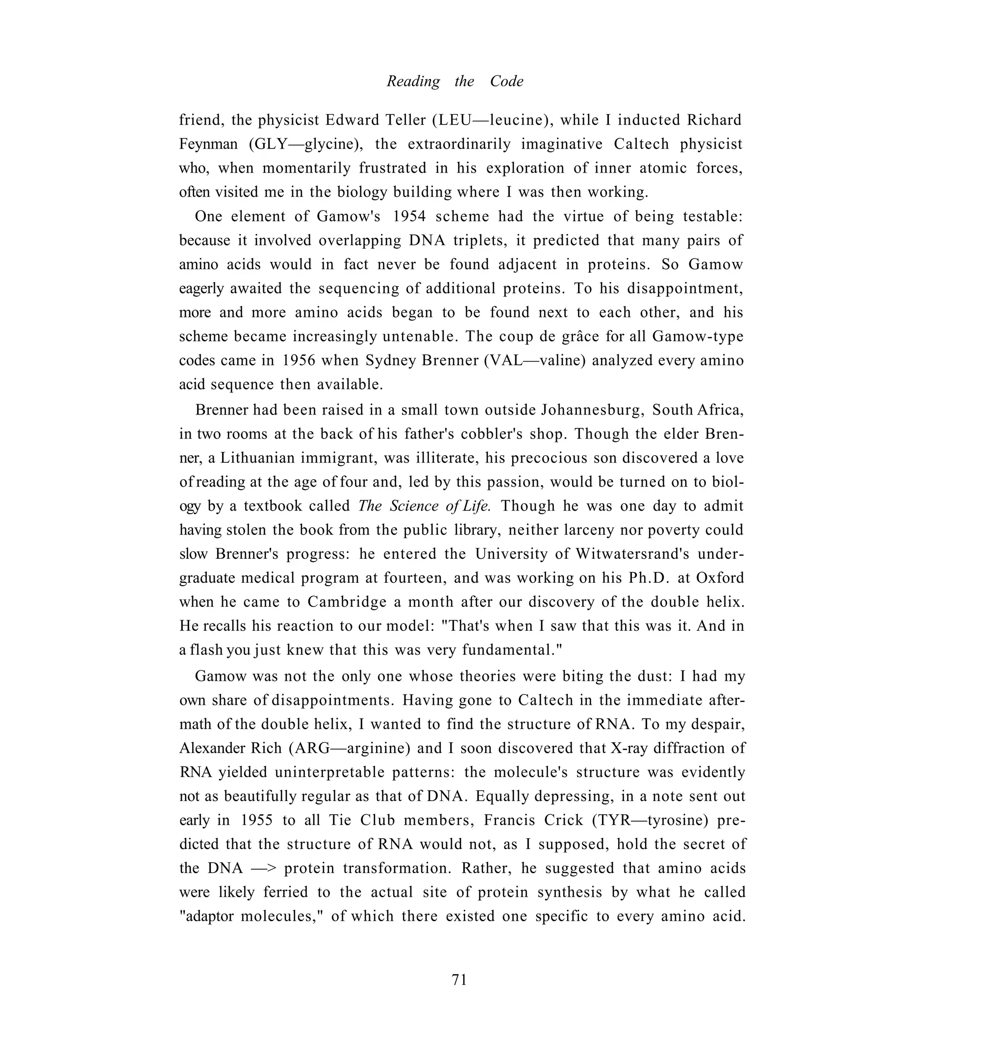 Reading the Code

friend, the physicist Edward Teller (LEU—leucine), while I inducted Richard
Feynman (GLY—glycine), the extraordinarily imaginative Caltech physicist
who, when momentarily frustrated in his exploration of inner atomic forces,
often visited me in the biology building where I was then working.
  One element of Gamow's 1954 scheme had the virtue of being testable:
because it involved overlapping DNA triplets, it predicted that many pairs of
amino acids would in fact never be found adjacent in proteins. So Gamow
eagerly awaited the sequencing of additional proteins. To his disappointment,
more and more amino acids began to be found next to each other, and his
scheme became increasingly untenable. The coup de grâce for all Gamow-type
codes came in 1956 when Sydney Brenner (VAL—valine) analyzed every amino
acid sequence then available.
   Brenner had been raised in a small town outside Johannesburg, South Africa,
in two rooms at the back of his father's cobbler's shop. Though the elder Bren-
ner, a Lithuanian immigrant, was illiterate, his precocious son discovered a love
of reading at the age of four and, led by this passion, would be turned on to biol-
ogy by a textbook called The Science of Life. Though he was one day to admit
having stolen the book from the public library, neither larceny nor poverty could
slow Brenner's progress: he entered the University of Witwatersrand's under-
graduate medical program at fourteen, and was working on his Ph.D. at Oxford
when he came to Cambridge a month after our discovery of the double helix.
He recalls his reaction to our model: "That's when I saw that this was it. And in
a flash you just knew that this was very fundamental."
  Gamow was not the only one whose theories were biting the dust: I had my
own share of disappointments. Having gone to Caltech in the immediate after-
math of the double helix, I wanted to find the structure of RNA. To my despair,
Alexander Rich (ARG—arginine) and I soon discovered that X-ray diffraction of
RNA yielded uninterpretable patterns: the molecule's structure was evidently
not as beautifully regular as that of DNA. Equally depressing, in a note sent out
early in 1955 to all Tie Club members, Francis Crick (TYR—tyrosine) pre-
dicted that the structure of RNA would not, as I supposed, hold the secret of
the DNA —> protein transformation. Rather, he suggested that amino acids
were likely ferried to the actual site of protein synthesis by what he called
"adaptor molecules," of which there existed one specific to every amino acid.


                                       71
 
