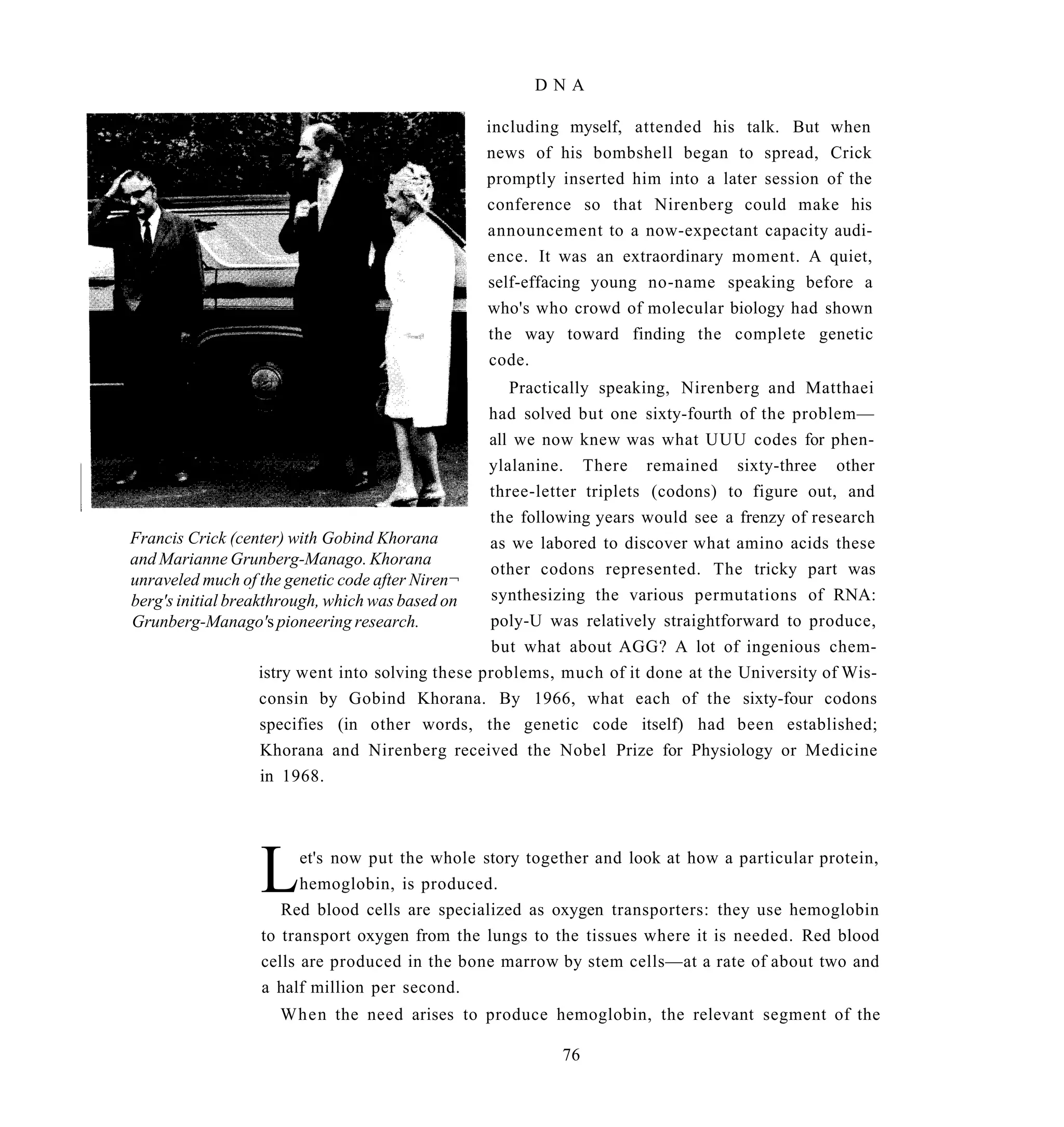 DNA

                                                including myself, attended his talk. But when
                                                news of his bombshell began to spread, Crick
                                                promptly inserted him into a later session of the
                                                conference so that Nirenberg could make his
                                                announcement to a now-expectant capacity audi-
                                                ence. It was an extraordinary moment. A quiet,
                                                self-effacing young no-name speaking before a
                                                who's who crowd of molecular biology had shown
                                                the way toward finding the complete genetic
                                                code.
                                                      Practically speaking, Nirenberg and Matthaei
                                                   had solved but one sixty-fourth of the problem—
                                                   all we now knew was what UUU codes for phen-
                                                   ylalanine. There remained sixty-three other
                                                   three-letter triplets (codons) to figure out, and
                                                   the following years would see a frenzy of research
Francis Crick (center) with Gobind Khorana         as we labored to discover what amino acids these
and Marianne Grunberg-Manago. Khorana
                                                   other codons represented. The tricky part was
unraveled much of the genetic code after Niren¬
berg's initial breakthrough, which was based on    synthesizing the various permutations of RNA:
Grunberg-Manago's pioneering research.             poly-U was relatively straightforward to produce,
                                                   but what about AGG? A lot of ingenious chem-
                    istry went into solving these problems, much of it done at the University of Wis-
                    consin by Gobind Khorana. By 1966, what each of the sixty-four codons
                    specifies (in other words, the genetic code itself) had been established;
                    Khorana and Nirenberg received the Nobel Prize for Physiology or Medicine
                    in 1968.




                 L     et's now put the whole story together and look at how a particular protein,
                       hemoglobin, is produced.
                    Red blood cells are specialized as oxygen transporters: they use hemoglobin
                 to transport oxygen from the lungs to the tissues where it is needed. Red blood
                 cells are produced in the bone marrow by stem cells—at a rate of about two and
                 a half million per second.
                    When the need arises to produce hemoglobin, the relevant segment of the

                                                          76
 