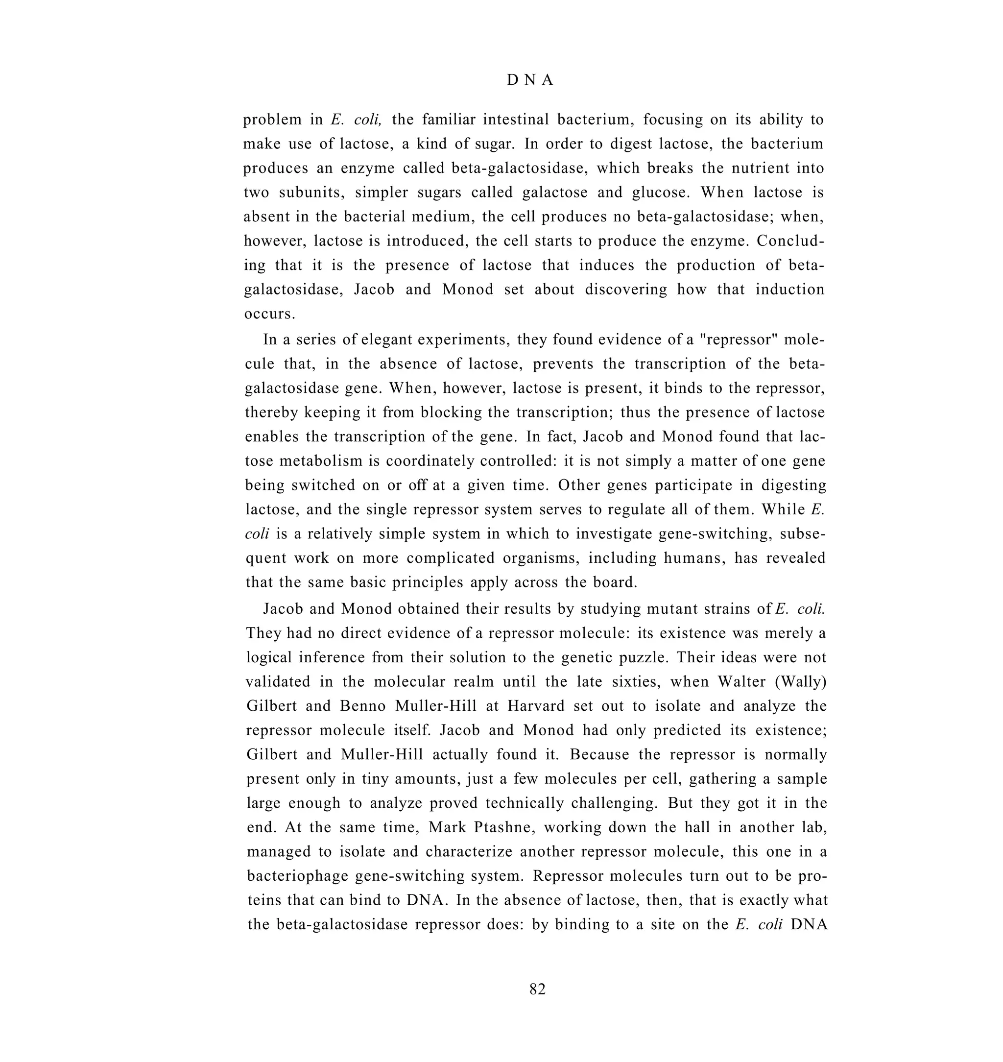 DNA

problem in E. coli, the familiar intestinal bacterium, focusing on its ability to
make use of lactose, a kind of sugar. In order to digest lactose, the bacterium
produces an enzyme called beta-galactosidase, which breaks the nutrient into
two subunits, simpler sugars called galactose and glucose. When lactose is
absent in the bacterial medium, the cell produces no beta-galactosidase; when,
however, lactose is introduced, the cell starts to produce the enzyme. Conclud-
ing that it is the presence of lactose that induces the production of beta-
galactosidase, Jacob and Monod set about discovering how that induction
occurs.
   In a series of elegant experiments, they found evidence of a "repressor" mole-
cule that, in the absence of lactose, prevents the transcription of the beta-
galactosidase gene. When, however, lactose is present, it binds to the repressor,
thereby keeping it from blocking the transcription; thus the presence of lactose
enables the transcription of the gene. In fact, Jacob and Monod found that lac-
tose metabolism is coordinately controlled: it is not simply a matter of one gene
being switched on or off at a given time. Other genes participate in digesting
lactose, and the single repressor system serves to regulate all of them. While E.
coli is a relatively simple system in which to investigate gene-switching, subse-
quent work on more complicated organisms, including humans, has revealed
that the same basic principles apply across the board.
   Jacob and Monod obtained their results by studying mutant strains of E. coli.
They had no direct evidence of a repressor molecule: its existence was merely a
logical inference from their solution to the genetic puzzle. Their ideas were not
validated in the molecular realm until the late sixties, when Walter (Wally)
Gilbert and Benno Muller-Hill at Harvard set out to isolate and analyze the
repressor molecule itself. Jacob and Monod had only predicted its existence;
Gilbert and Muller-Hill actually found it. Because the repressor is normally
present only in tiny amounts, just a few molecules per cell, gathering a sample
large enough to analyze proved technically challenging. But they got it in the
end. At the same time, Mark Ptashne, working down the hall in another lab,
managed to isolate and characterize another repressor molecule, this one in a
bacteriophage gene-switching system. Repressor molecules turn out to be pro-
teins that can bind to DNA. In the absence of lactose, then, that is exactly what
the beta-galactosidase repressor does: by binding to a site on the E. coli DNA


                                       82
 