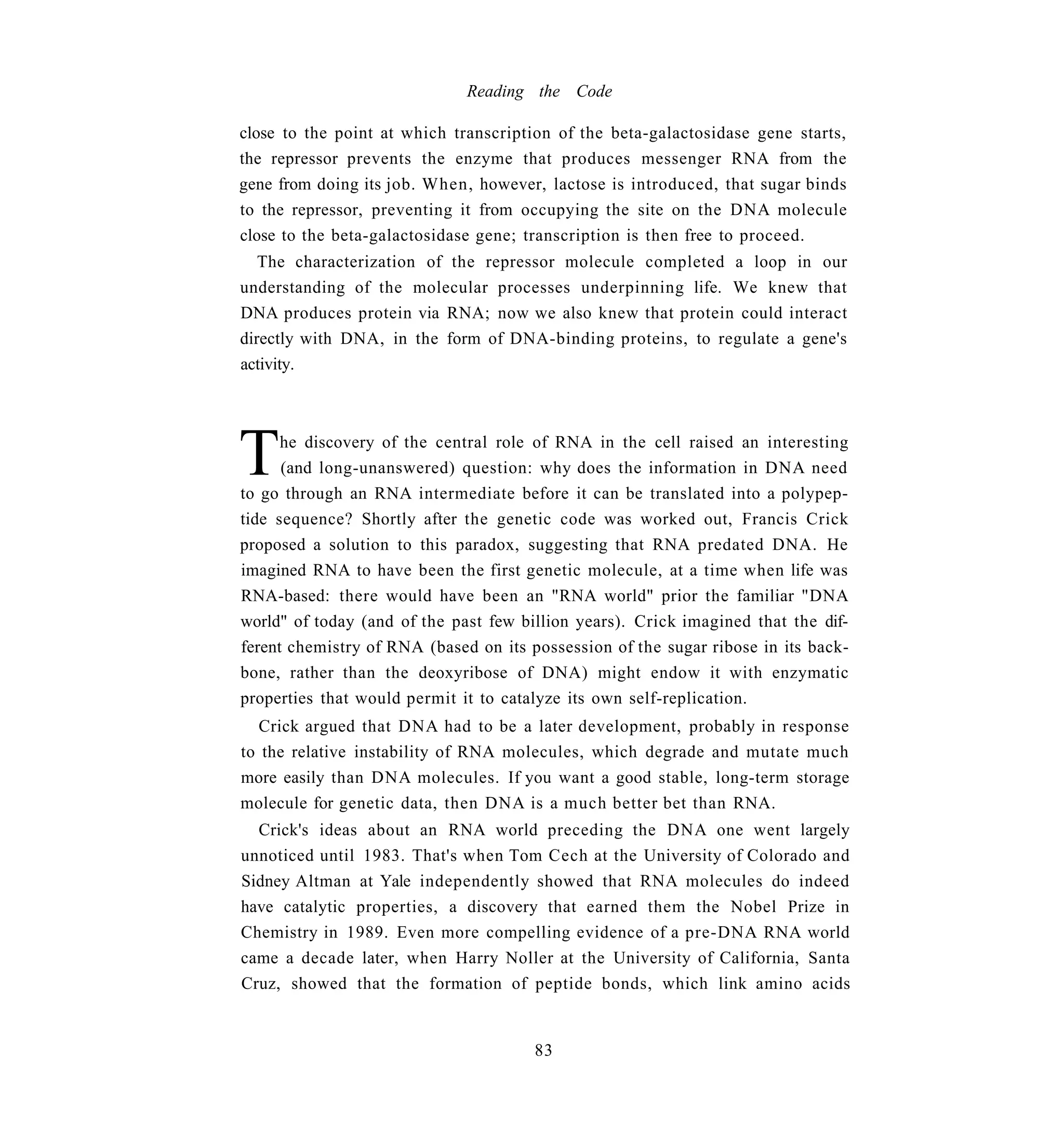 Reading the Code

close to the point at which transcription of the beta-galactosidase gene starts,
the repressor prevents the enzyme that produces messenger RNA from the
gene from doing its job. When, however, lactose is introduced, that sugar binds
to the repressor, preventing it from occupying the site on the DNA molecule
close to the beta-galactosidase gene; transcription is then free to proceed.
   The characterization of the repressor molecule completed a loop in our
understanding of the molecular processes underpinning life. We knew that
DNA produces protein via RNA; now we also knew that protein could interact
directly with DNA, in the form of DNA-binding proteins, to regulate a gene's
activity.




T     he discovery of the central role of RNA in the cell raised an interesting
      (and long-unanswered) question: why does the information in DNA need
to go through an RNA intermediate before it can be translated into a polypep-
tide sequence? Shortly after the genetic code was worked out, Francis Crick
proposed a solution to this paradox, suggesting that RNA predated DNA. He
imagined RNA to have been the first genetic molecule, at a time when life was
RNA-based: there would have been an "RNA world" prior the familiar "DNA
world" of today (and of the past few billion years). Crick imagined that the dif-
ferent chemistry of RNA (based on its possession of the sugar ribose in its back-
bone, rather than the deoxyribose of DNA) might endow it with enzymatic
properties that would permit it to catalyze its own self-replication.
   Crick argued that DNA had to be a later development, probably in response
to the relative instability of RNA molecules, which degrade and mutate much
more easily than DNA molecules. If you want a good stable, long-term storage
molecule for genetic data, then DNA is a much better bet than RNA.
  Crick's ideas about an RNA world preceding the DNA one went largely
unnoticed until 1983. That's when Tom Cech at the University of Colorado and
Sidney Altman at Yale independently showed that RNA molecules do indeed
have catalytic properties, a discovery that earned them the Nobel Prize in
Chemistry in 1989. Even more compelling evidence of a pre-DNA RNA world
came a decade later, when Harry Noller at the University of California, Santa
Cruz, showed that the formation of peptide bonds, which link amino acids


                                       83
 