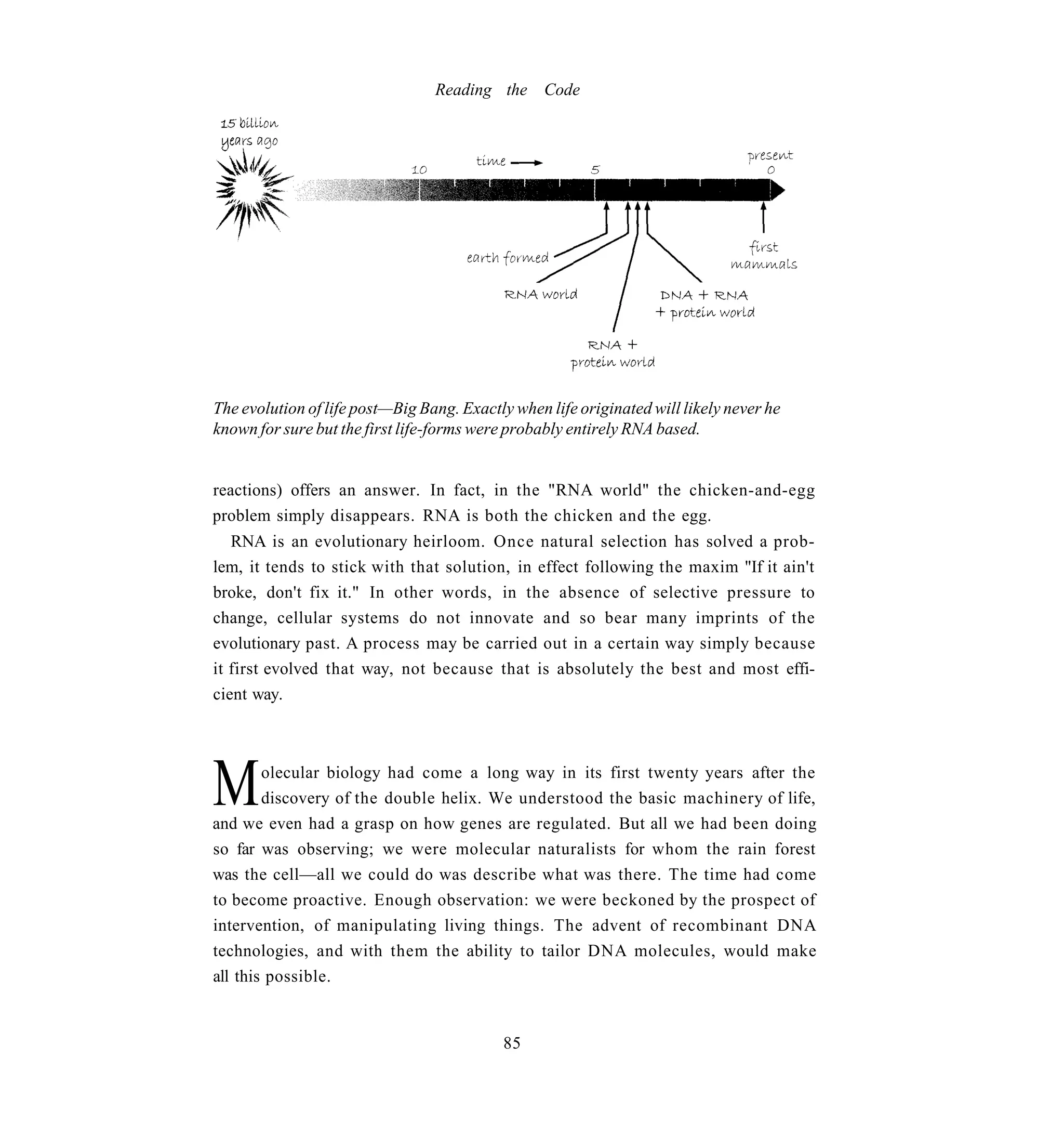 Reading the Code




The evolution of life post—Big Bang. Exactly when life originated will likely never he
known for sure but the first life-forms were probably entirely RNA based.


reactions) offers an answer. In fact, in the "RNA world" the chicken-and-egg
problem simply disappears. RNA is both the chicken and the egg.
   RNA is an evolutionary heirloom. Once natural selection has solved a prob-
lem, it tends to stick with that solution, in effect following the maxim "If it ain't
broke, don't fix it." In other words, in the absence of selective pressure to
change, cellular systems do not innovate and so bear many imprints of the
evolutionary past. A process may be carried out in a certain way simply because
it first evolved that way, not because that is absolutely the best and most effi-
cient way.




M       olecular biology had come a long way in its first twenty years after the
        discovery of the double helix. We understood the basic machinery of life,
and we even had a grasp on how genes are regulated. But all we had been doing
so far was observing; we were molecular naturalists for whom the rain forest
was the cell—all we could do was describe what was there. The time had come
to become proactive. Enough observation: we were beckoned by the prospect of
intervention, of manipulating living things. The advent of recombinant DNA
technologies, and with them the ability to tailor DNA molecules, would make
all this possible.


                                            85
 