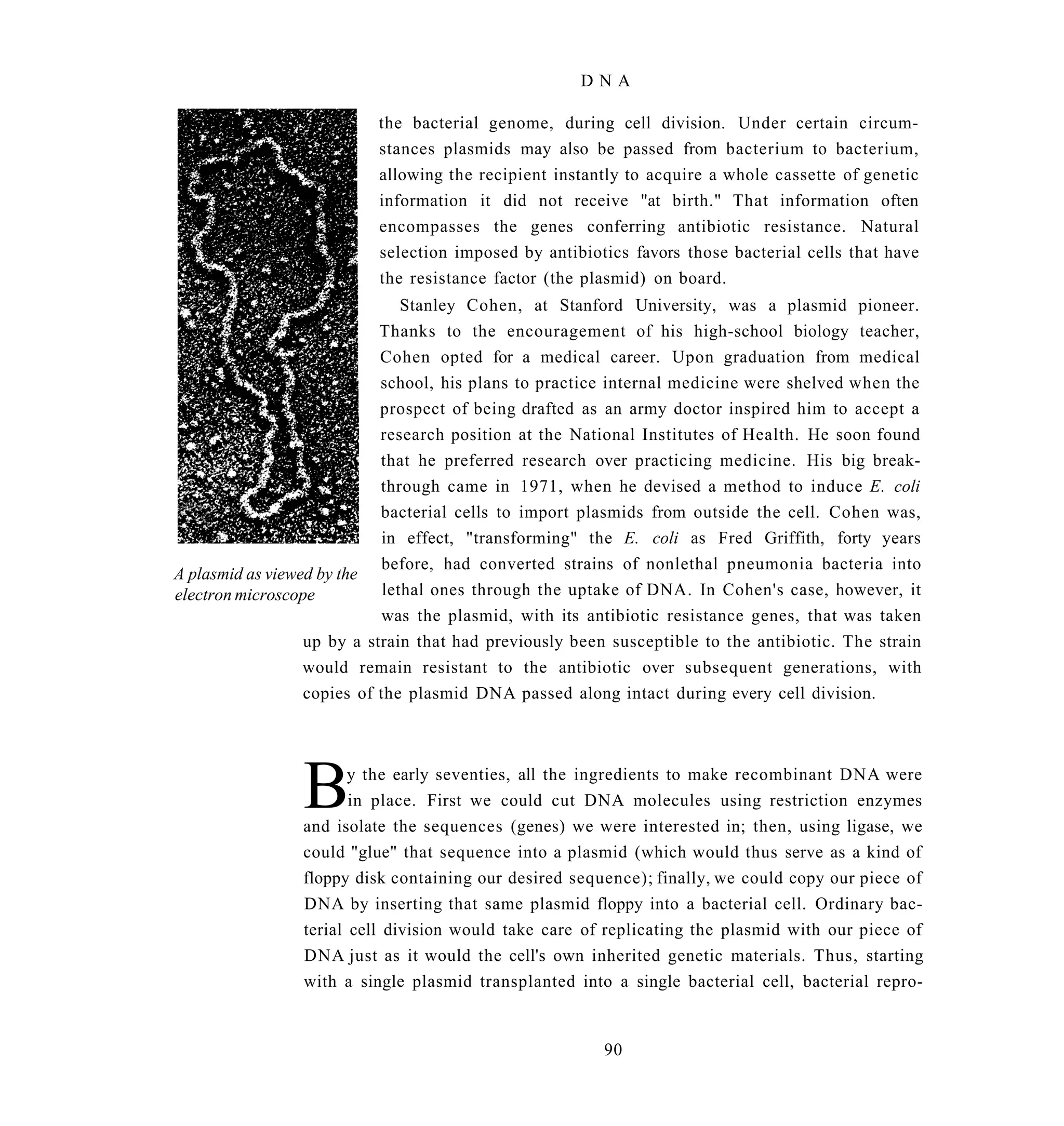 DNA

                           the bacterial genome, during cell division. Under certain circum-
                           stances plasmids may also be passed from bacterium to bacterium,
                           allowing the recipient instantly to acquire a whole cassette of genetic
                           information it did not receive "at birth." That information often
                           encompasses the genes conferring antibiotic resistance. Natural
                           selection imposed by antibiotics favors those bacterial cells that have
                           the resistance factor (the plasmid) on board.
                                Stanley Cohen, at Stanford University, was a plasmid pioneer.
                            Thanks to the encouragement of his high-school biology teacher,
                            Cohen opted for a medical career. Upon graduation from medical
                            school, his plans to practice internal medicine were shelved when the
                            prospect of being drafted as an army doctor inspired him to accept a
                            research position at the National Institutes of Health. He soon found
                            that he preferred research over practicing medicine. His big break-
                            through came in 1971, when he devised a method to induce E. coli
                            bacterial cells to import plasmids from outside the cell. Cohen was,
                            in effect, "transforming" the E. coli as Fred Griffith, forty years
                            before, had converted strains of nonlethal pneumonia bacteria into
A plasmid as viewed by the
electron microscope          lethal ones through the uptake of DNA. In Cohen's case, however, it
                            was the plasmid, with its antibiotic resistance genes, that was taken
                  up by a strain that had previously been susceptible to the antibiotic. The strain
                  would remain resistant to the antibiotic over subsequent generations, with
                  copies of the plasmid DNA passed along intact during every cell division.




                 B      y the early seventies, all the ingredients to make recombinant DNA were
                        in place. First we could cut DNA molecules using restriction enzymes
                 and isolate the sequences (genes) we were interested in; then, using ligase, we
                 could "glue" that sequence into a plasmid (which would thus serve as a kind of
                 floppy disk containing our desired sequence); finally, we could copy our piece of
                 DNA by inserting that same plasmid floppy into a bacterial cell. Ordinary bac-
                 terial cell division would take care of replicating the plasmid with our piece of
                 DNA just as it would the cell's own inherited genetic materials. Thus, starting
                 with a single plasmid transplanted into a single bacterial cell, bacterial repro-


                                                        90
 