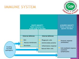 INNATE IMMUNITY
Rapid responses to a
broad range of microbes
ACQUIRED IMMUNITY
Slower responses to
specific microbes
External defenses Internal defenses
Skin
Mucous membranes
Secretions
Phagocytic cells
Antimicrobial proteins
Inflammatory response
Natural killer cells
Humoral response
(antibodies)
Cell-mediated response
(cytotoxic
lymphocytes)
Invading
microbes
(pathogens)
 