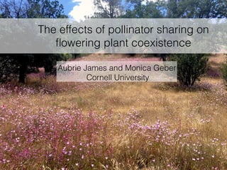 The effects of pollinator sharing on
ﬂowering plant coexistence
Aubrie James and Monica Geber
Cornell University
 