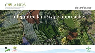 Integrated landscape approaches
cifor.org/colands
 