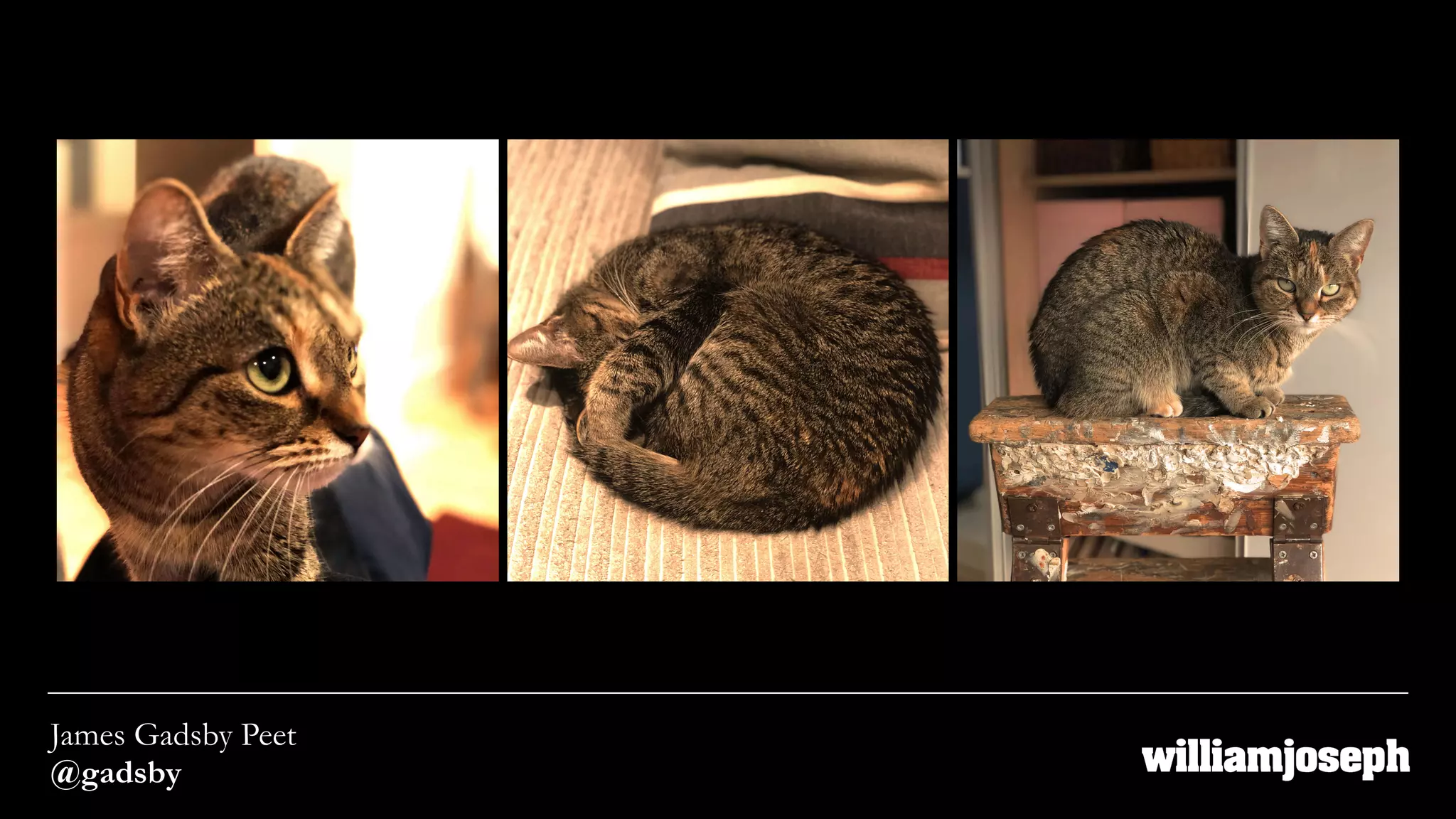 James Gadsby Peet
@gadsby
 