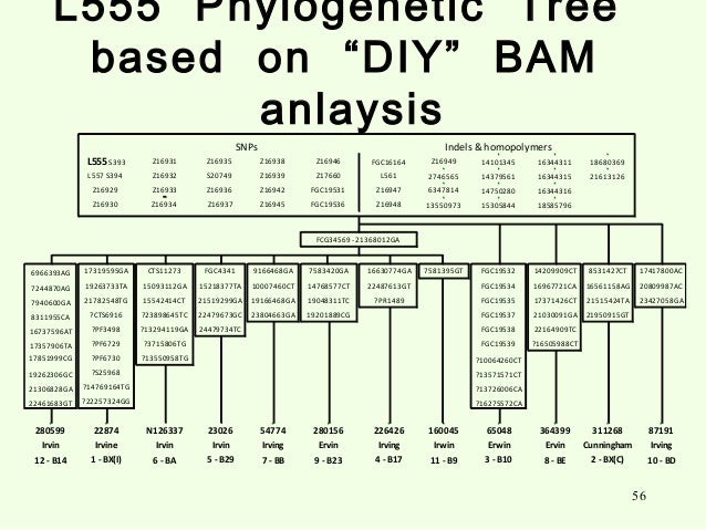 Surnames Starting With Bam - Surnames Beginning With Quot K Quot : Where do people with the bam surname come from: