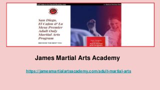 James Martial Arts Academy
https://jamesmartialartsacademy.com/adult-martial-arts
 