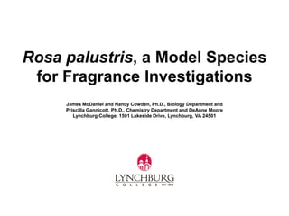 Rosa palustris, a Model Species
 for Fragrance Investigations
     James McDaniel and Nancy Cowden, Ph.D., Biology Department and
     Priscilla Gannicott, Ph.D., Chemistry Department and DeAnne Moore
        Lynchburg College, 1501 Lakeside Drive, Lynchburg, VA 24501
 