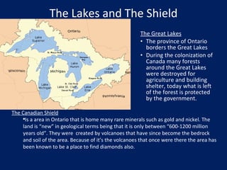 The Lakes and The Shield The Great Lakes The province of Ontario borders the Great Lakes During the colonization of Canada many forests around the Great Lakes were destroyed for agriculture and building shelter, today what is left of the forest is protected by the government. The Canadian Shield Is a area in Ontario that is home many rare minerals such as gold and nickel. The land is “new” in geological terms being that it is only between “600-1200 million years old”. They were  created by volcanoes that have since become the bedrock and soil of the area. Because of it’s the volcanoes that once were there the area has been known to be a place to find diamonds also. 