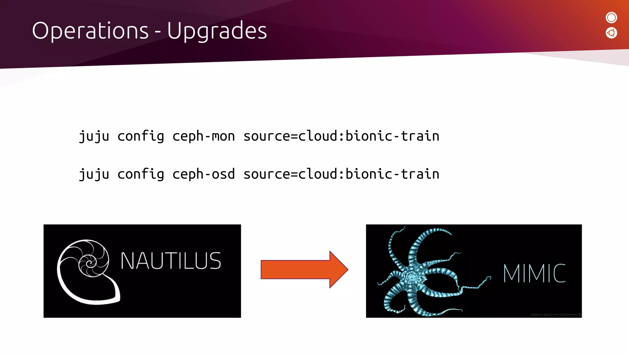 Operations - Upgrades
juju config ceph-mon source=cloud:bionic-train
juju config ceph-osd source=cloud:bionic-train
 