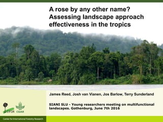 A rose by any other name?
Assessing landscape approach
effectiveness in the tropics
James Reed, Josh van Vianen, Jos Barlow, Terry Sunderland
SIANI SLU - Young researchers meeting on multifunctional
landscapes. Gothenburg, June 7th 2016
 