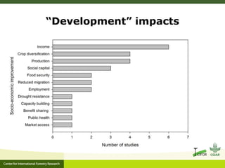 “Development” impacts
 