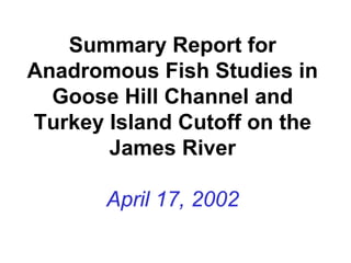 Summary Report for
Anadromous Fish Studies in
Goose Hill Channel and
Turkey Island Cutoff on the
James River
April 17, 2002
 