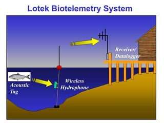 Lotek Biotelemetry System
Acoustic
Tag
Wireless
Hydrophone
Receiver/
Datalogger
 