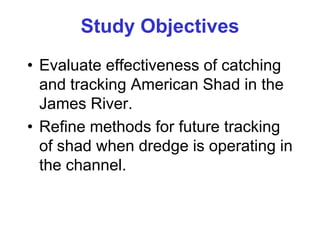 Study Objectives
• Evaluate effectiveness of catching
and tracking American Shad in the
James River.
• Refine methods for future tracking
of shad when dredge is operating in
the channel.
 