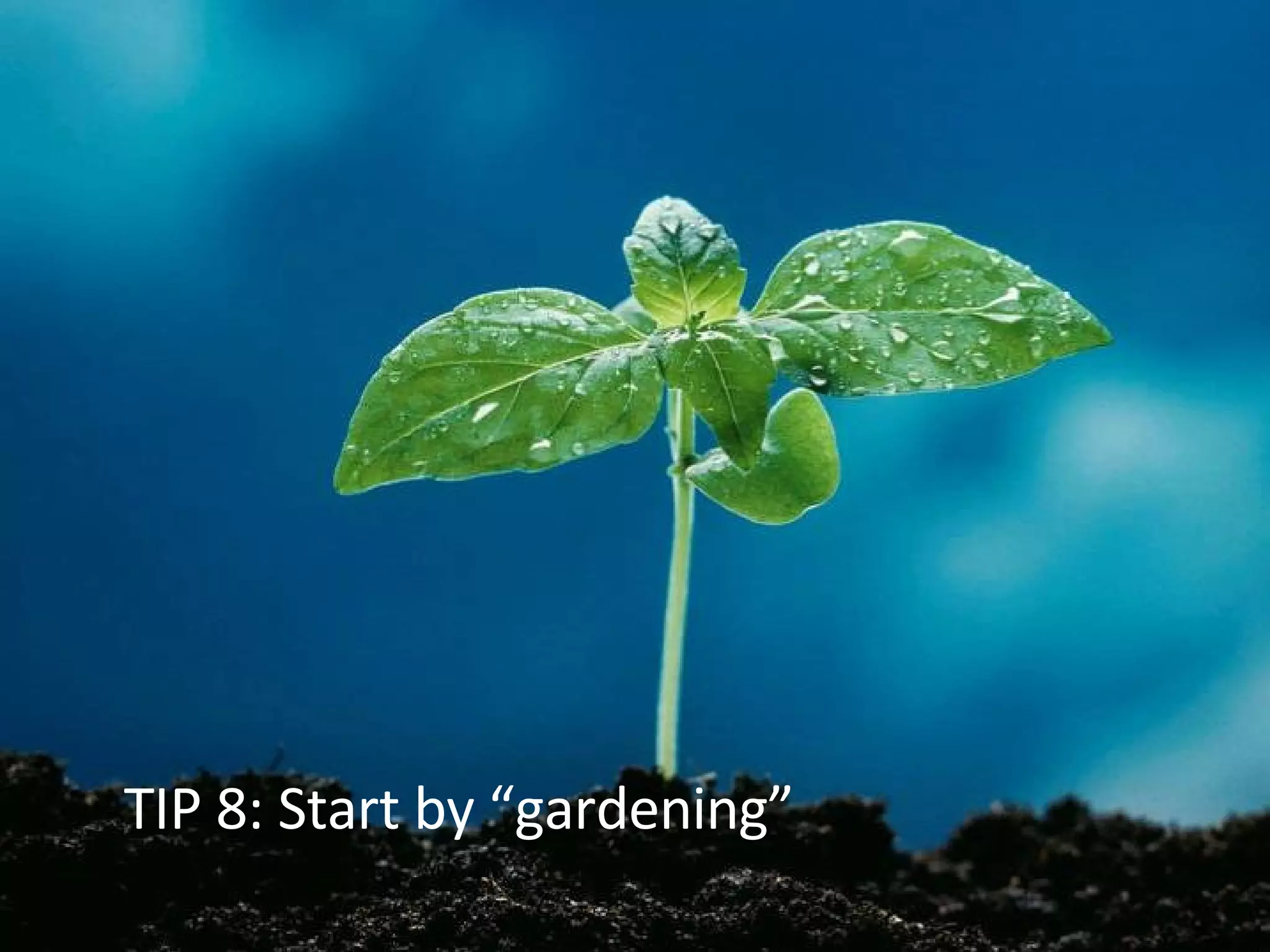 TIP 8: Start by “gardening” 