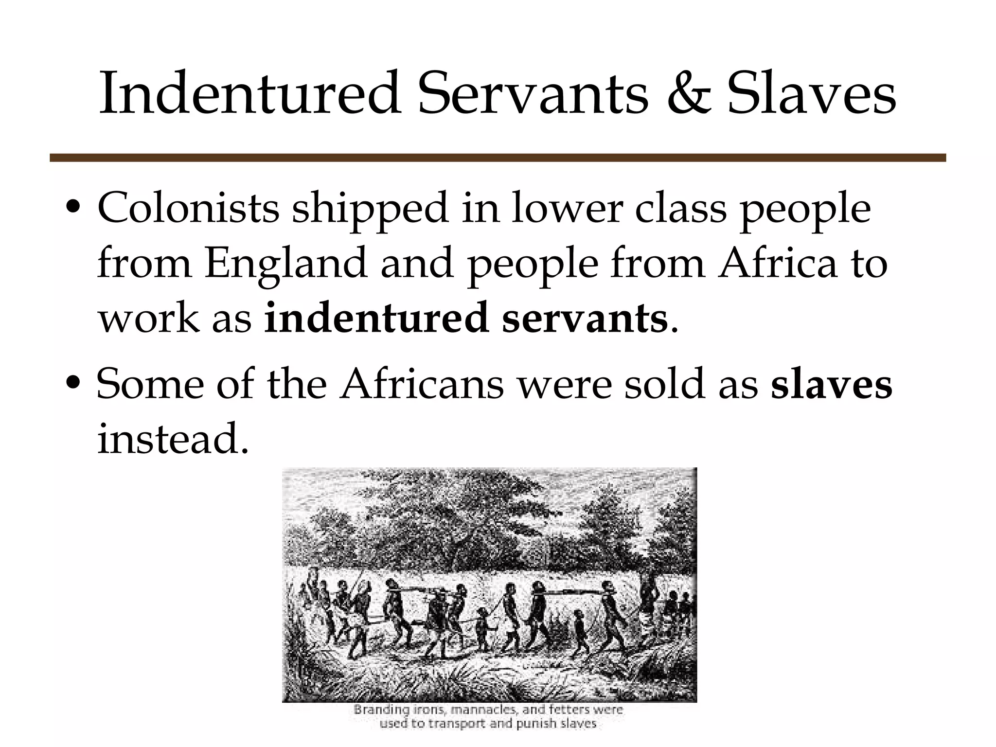 Indentured Servants & Slaves Colonists shipped in lower class people from England and people from Africa to work as  indentured servants . Some of the Africans were sold as  slaves  instead. 