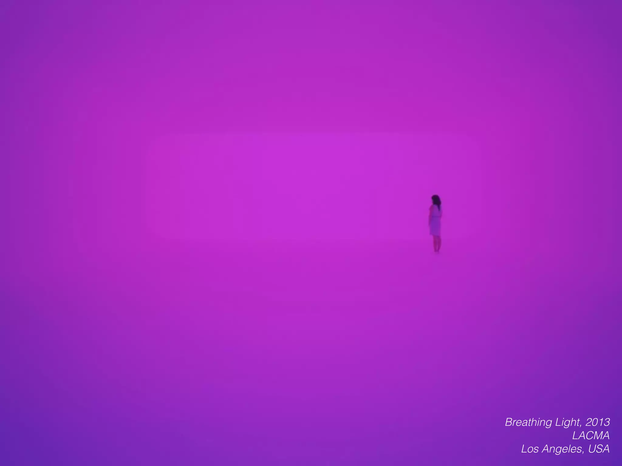 Breathing Light, 2013
LACMA
Los Angeles, USA
 