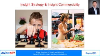 A New Roadmap for Insight Management | PDF
