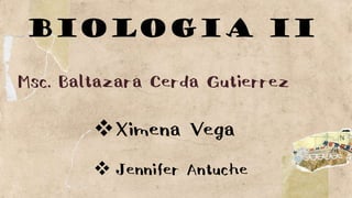 BIOLOGIA II
Msc. Baltazara Cerda Gutierrez
Ximena Vega
 Jennifer Antuche
 
