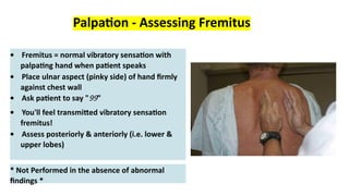 Comprehensive Assessment of Pulmonary System and Respiratory Diseases ...
