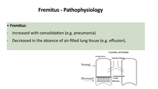 Comprehensive Assessment of Pulmonary System and Respiratory Diseases ...