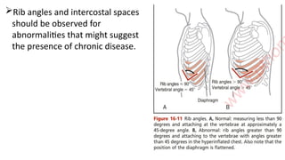 Comprehensive Assessment of Pulmonary System and Respiratory Diseases ...
