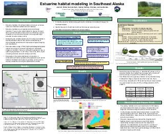 Estuarine habitat modeling in Southeast Alaska
Jamie D. Fuller1 Sam Lischert2, Carolyn Ownby3, Wei Gao3, and Lee Benda2
(1) Graduate Degree Program in Ecology, Colorado State University and (2) Earth Systems Institute
(3) USDA UV-B Monitoring Program and ColoradoView

Research Objectives

Background

1. To identify estuarine habitat using geomorphic variables and Landsat 8 imagery for

• Estuarine habitats in Southeast Alaska include an extensive
network of intertidal mudflats and salt marshes.
• Estuarine habitats are ecologically and economically
important. They provide critical habitat for diverse flora and
fauna, protect shorelines from erosion and flooding, support
recreation and commercial fisheries, and sequester large
amounts of carbon (Albert, 2010).
• Delineating the variable spatial extent of estuarine habitats in
Southeast Alaska will provide a better understanding of
critical habitats and will lead to improved ecological mapping
and classification.

Southeast Alaska.

Land-cover Classes:

2. Identify the extent of salt marsh and mud flat area per estuarine area.
3. Calculate total estuarine habitat for Southeast Alaska.

Data Processing
Multispectral imagery: Landsat 8

Radiometric correction

- 15 scenes cover the entire extent
- were captured in 2013 between 6/10 – 8/25
- Scenes are, on average, within 2 hours of
low tide

• Since the Little Ice Age (1700’s) rapid and widespread glacial
retreat has resulted in isostatic adjustment in SE Alaska
(Larsen et al, 2005). There is a strong N-S gradient in rate of
uplift varying between 1 to 32 mm/yr. (Sun et al. 2010). Uplift
is causing estuarine areas to enlarge over time.

Restacked bands to mimic Landsat 7
format for ENVI processing

Water mask: NDVI (values: -0.2 to 1)
Cloud Mask: Landsat 8 Cirrus band
Elevation Mask: ASTER Digital Elevation
Model (DEM): -5 to 20 meters

Salt marsh
Upper Estuary –no inundation and densely vegetated
Middle Estuary – occasionally inundated and vegetated
Lower Estuary – frequently inundated; sparsely vegetated with salt
tolerant vegetation
Salt marsh-mudflat transition zone – areas not definitively salt marsh or mudflat
Mud flats
Mudflats – estuarine mud and silt tidal deposits; not vegetated
Eelgrass – submerged/partially submerged grass-like vegetation
Rocky, sandy, & glacial flow – brightly reflective deposits
Transitional Forest – forest cover intermingled within the estuary or near 20 m
in elevation.

Reclassify and multiply the DEM,
Cirrus clouds, and NDVI:
• 1 – region of interest (ROI)
• 0 – No Data

Mask probable estuary areas:

• Knowledge of the spatial distribution of estuaries, in
combination with other watershed characteristics such as fish
habitats, floodplains and network geometry, will be used to
develop a watershed ecological classification scheme.

Add the Estuary ROI to spectral data
as a band layer and apply ROI

High Tide
Forest transitional zone

Tasseled Cap analysis

Image Classification

Results

Supervised classification: 35+ training polygons per class
Method: maximum likelihood classifier

Upper
Estuary

Southeast Alaska
Estuary area

Low
Estuary

Low Tide

Transition zone
Mud flats

Increasing frequency of tidal inundation and increasing salt tolerance
Fig. 1. The various ecotones that can be found in an estuary.

Results
• Across the extent of this study (~1,000,000 km2) where 0.7% is
estuarine habitat, the mudflat class occupies 60% or 4200 km2
and the estuary occupies 40% or 2800 km2 (Fig 3).
• The differences among estuary habitats can be identified using
multispectral imagery captured proximal to low tide (Fig 3).

• An accuracy assessment of 55 random points per class resulted
in a good overall accuracy of 91% and Kappa statistic of 87%
(Table 1).

0.7%

99.3%

Saltmarsh- Upper
mudflat Estuary
boundary 13% Middle
13%
Estuary
6%

Mudflats and estuary
Non-Estuary

60%

Mudflat
26%

Class

Commission
accuracy

Omission
accuracy

Forest

95%

93%

Mudflat

91%

92%

Estuary

89%

89%

40%

Lower
Estuary
21%
Eelgrass
21%

Fig. 3. Percentage of each estuarine landcover class. The total mudflat areas total
4200 km2 and the estuary areas total 2800
km2.

Fig. 4. Estuary near Gustavus showing fine resolution imagery from ESRI (left) and land-cover
classification (right).

Table 1. Accuracy assessment for the estuary, mudflat, and forest
classifications.

Discussion and Future Work
are needed to see
QuickTime™ and athis picture.
decompressor
• The estuary habitats land-cover classification for SE Alaska
provides detailed information of estuary characteristics and
supports continued ecological and economical research.

Fig. 2. Southeastern Alaska spanning from Yakutat to the southern tip of Alaska. The inlay pie
char shows the percentage of land-cover that is estuary.

• In other studies, isostatic rebound was shown to result in the
regional uplift (Larsen et al., 2005). Next, we will pair each
estuary classification, slope, and area to estimate the extent of
accretion per estuary.

References
Albert, D., C. Shanley, and L. Baker (2010) A preliminary classification of bays and
estuaries in Southeast Alaska: A hierarchical Framework and Exploratory analysis. Coastal
ecological systems in Southeast Alaska, June, Nature Conservancy Report.

• Estuarine classes and area data will be integrated with
NetMap stream reach attributes to determine spatial
relationships between estuaries and the watersheds
upstream. The classification can be joined to a number of
physical and biological variables (land cover, topography,
watershed area, and stream geomorphology) to further inform
estuarine mapping and models.

Larsen, C. F., R. J. Motyka, J. T. Freymueller, K. A. Echelmeyer, E. R. Ivins (2005) Rapid
viscoelastic uplift in southeast Alaska caused by post-Little Ice Age glacial retreat. Earth
and Planetary Science Let., 237, 547-560 doi:10.1016/j.epsl.2005.06.032.
Sun, W., S. Miura, T. Sato, T. Sugano, J. Freymueller, M. Kaufman, C. F. Larsen, R. Cross,
and D. Inazu (2010), Gravity measurements in southeastern Alaska reveal negative gravity
rate of change caused by glacial isostatic adjustment, J. Geophys. Res., 115, B12406,
doi:10.1029/2009JB007194.

Middle
Estuary

Eelgrass Sea water

Accuracy assessment: used 55 randomly generated points per
class to calculate overall accuracy and the Kappa statistic.

Results

Estuary
Land
Ocean

Classification

Fig. 5. Estuary between Wrangle and Petersburg showing fine resolution imagery from ESRI (left) and land-cover classification (right).

 