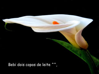 Bebi dois copos de leite ^^, 