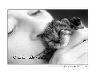 O  amor  tudo vence  . 