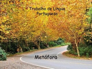 Trabalho de Língua Portuguesa Metáfora 