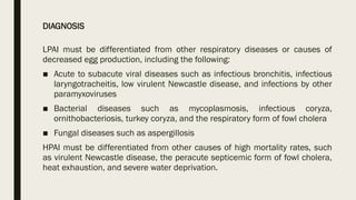 poultry production diseases-AVIAN-INFLUENZA.pptx