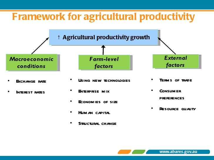 National Food Production and Agricultural Productivity