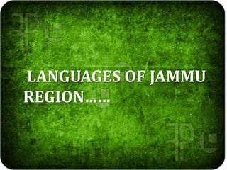 LANGUAGES OF JAMMU
REGION……
 